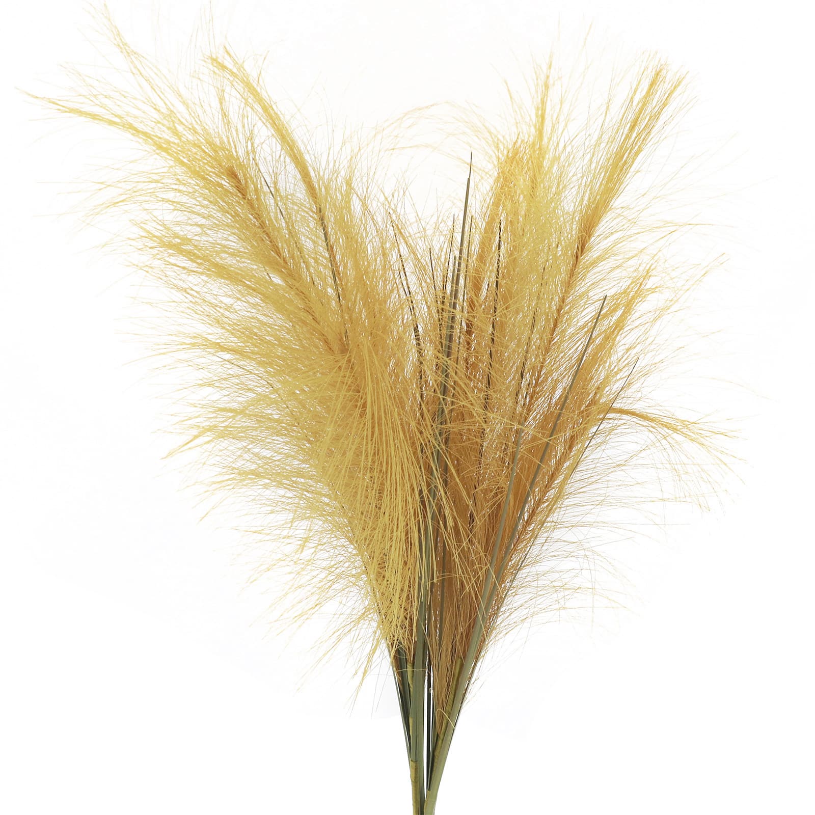 24" Pampas Grass Bush by Ashland