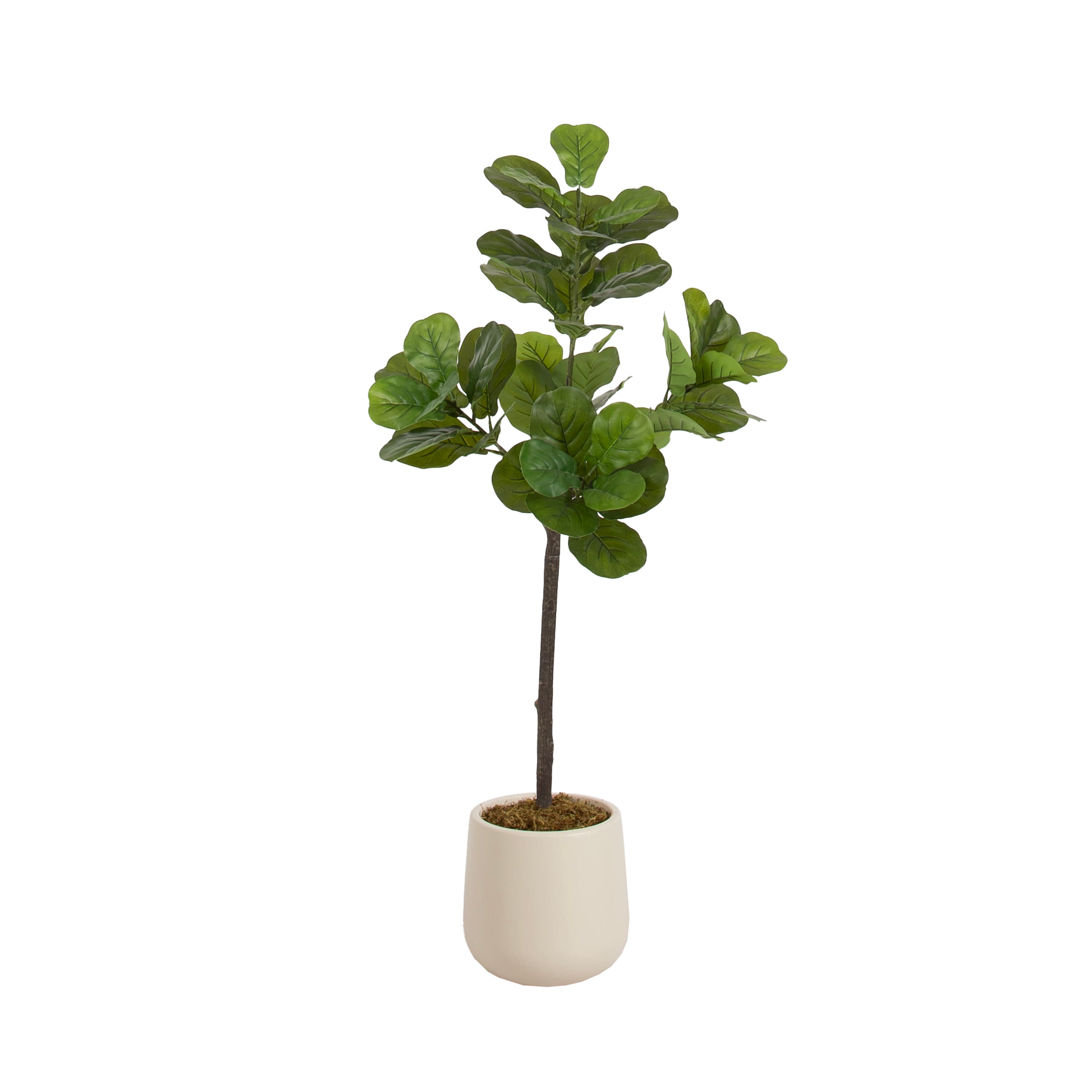 Kate and Laurel 4ft. Green Fidmont Faux Fiddle Fig Tree with Cream Planter