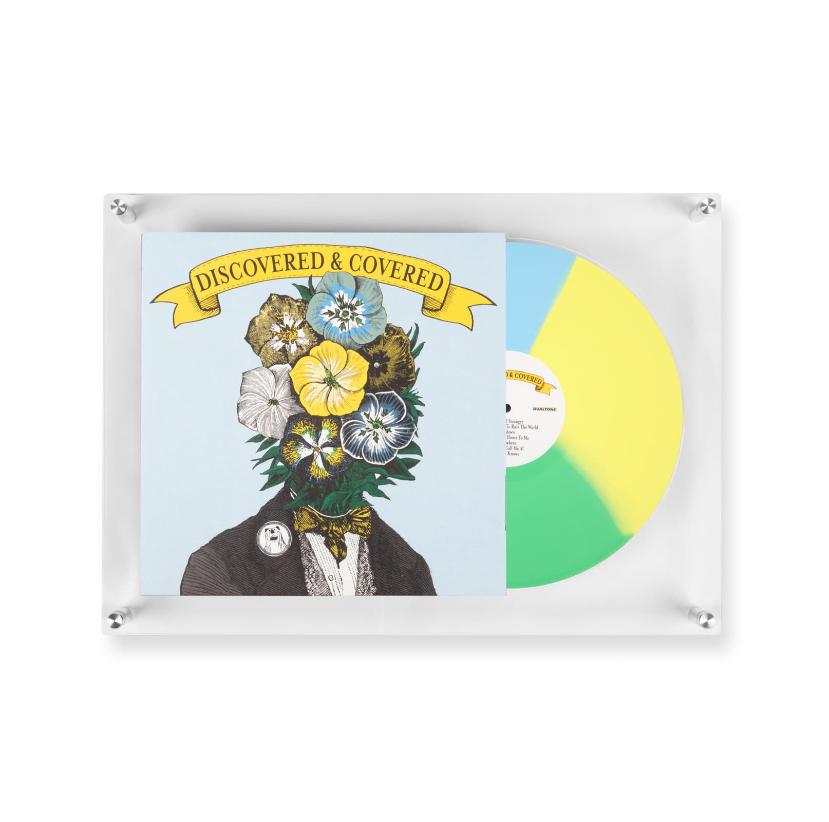 Wexel Art 15" x 21" Vinyl Record Reveal Acrylic Frame