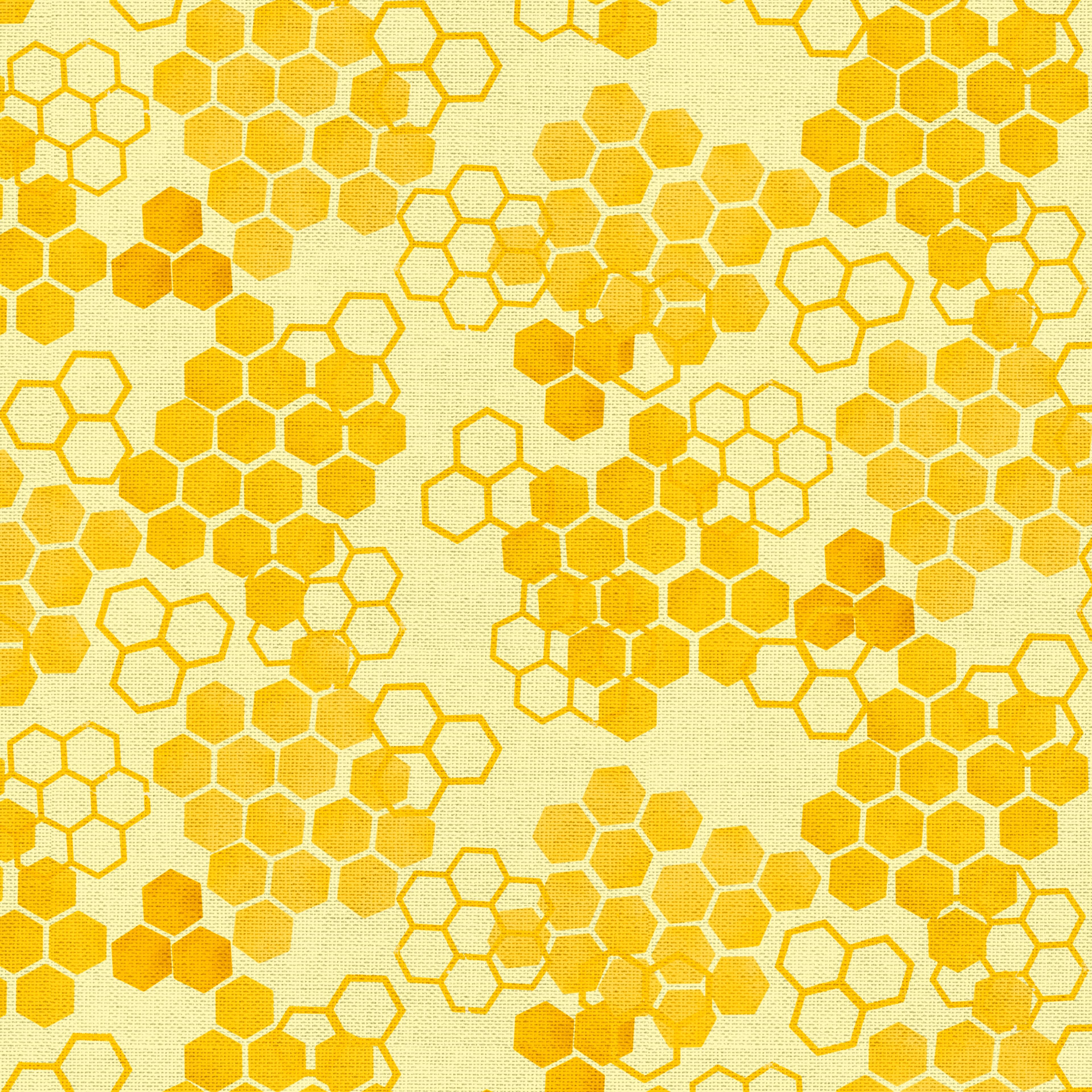 Bee Themed Fabric Bundles by Loops & Threads™