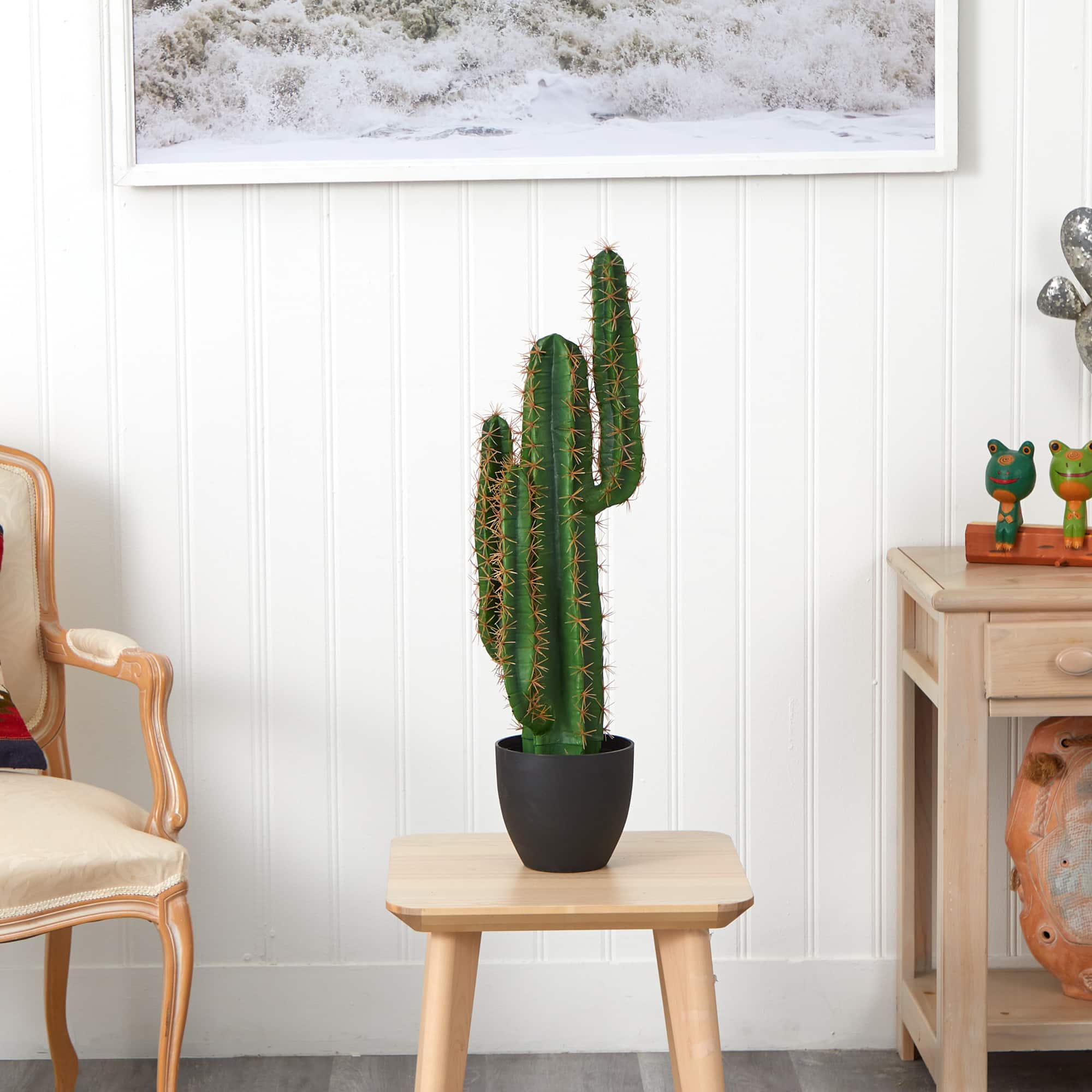 2.5ft. Potted Cactus Plant