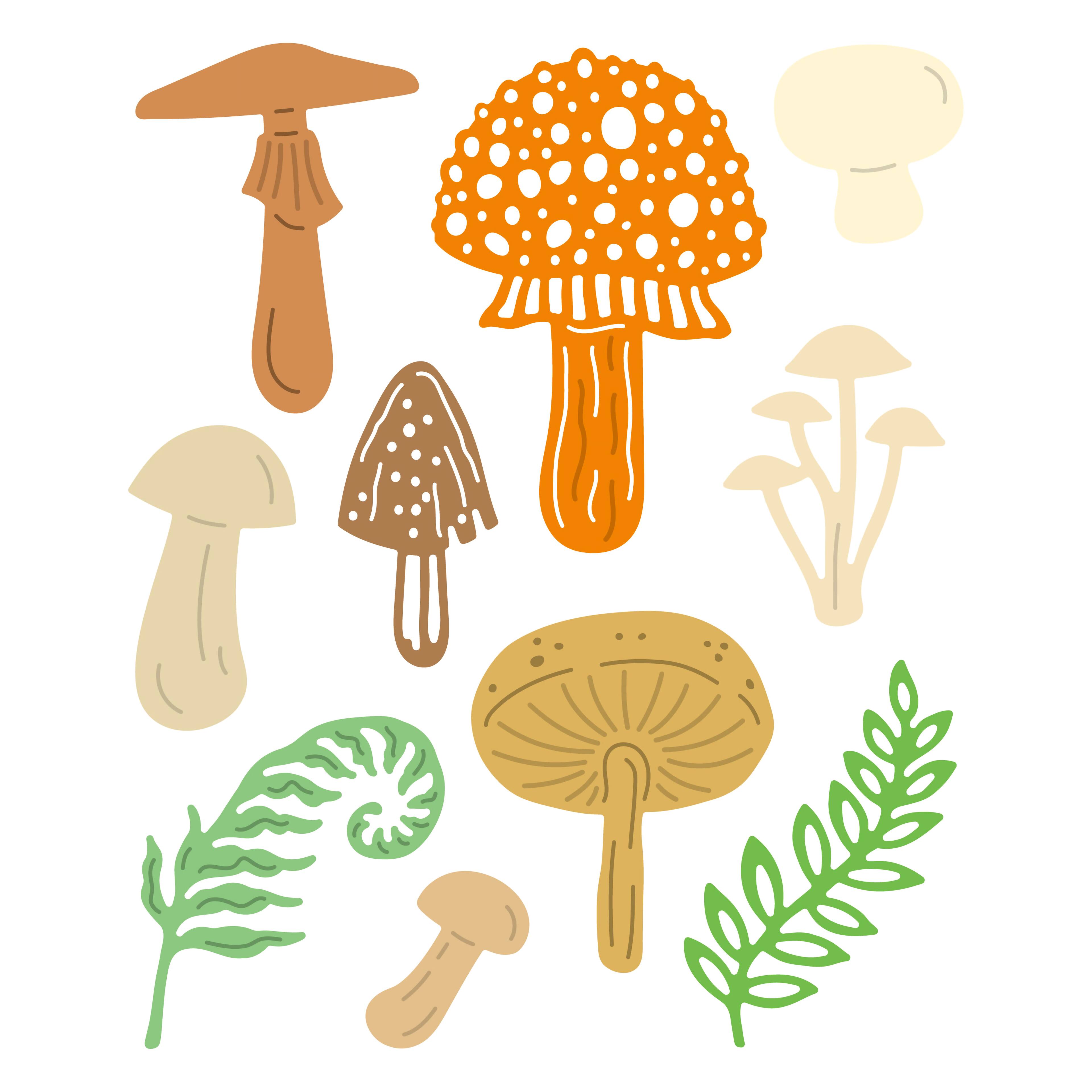 6 Pack: Mushroom Cutting Die Set by Recollections™