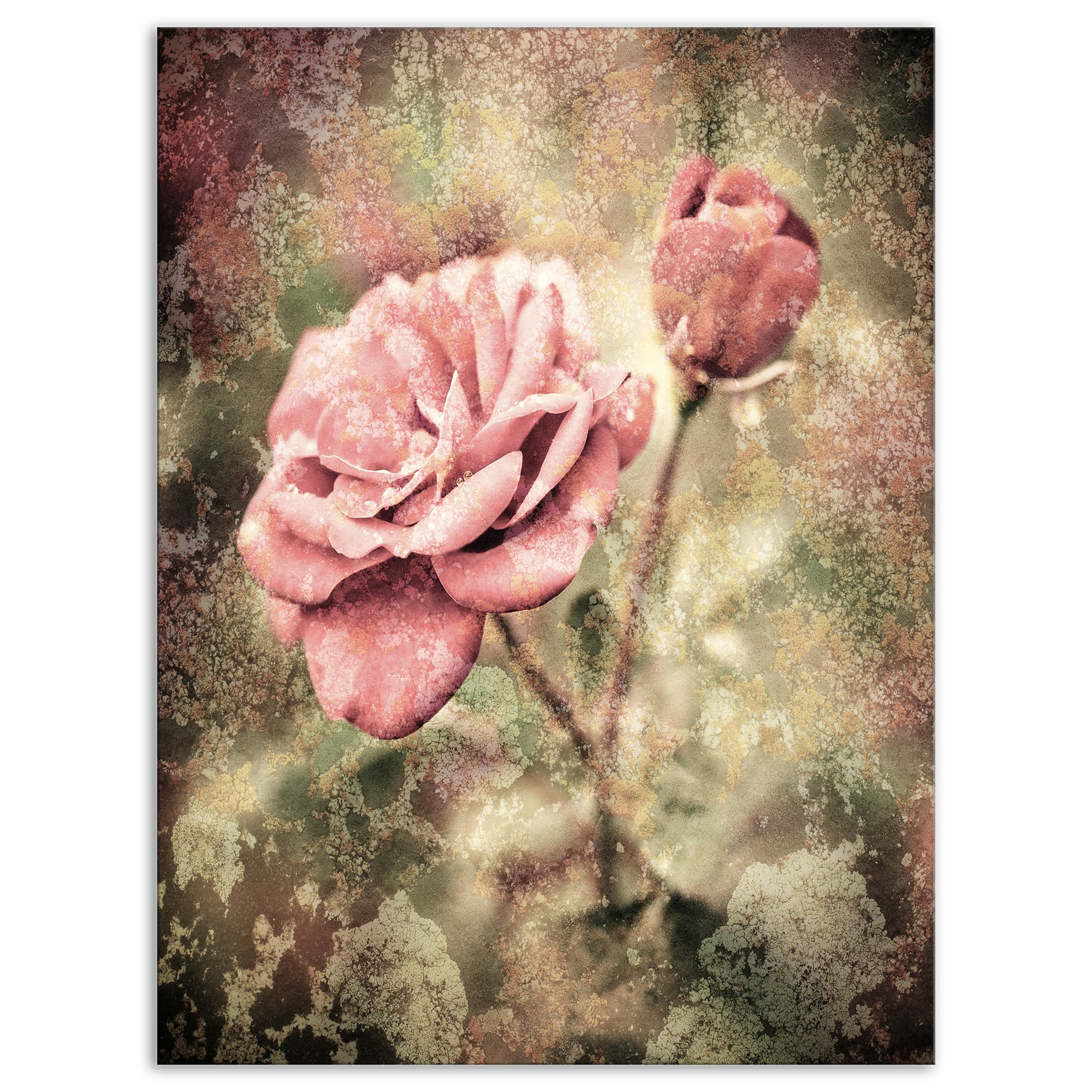 Designart - Vintage Pink Roses with Water Drops