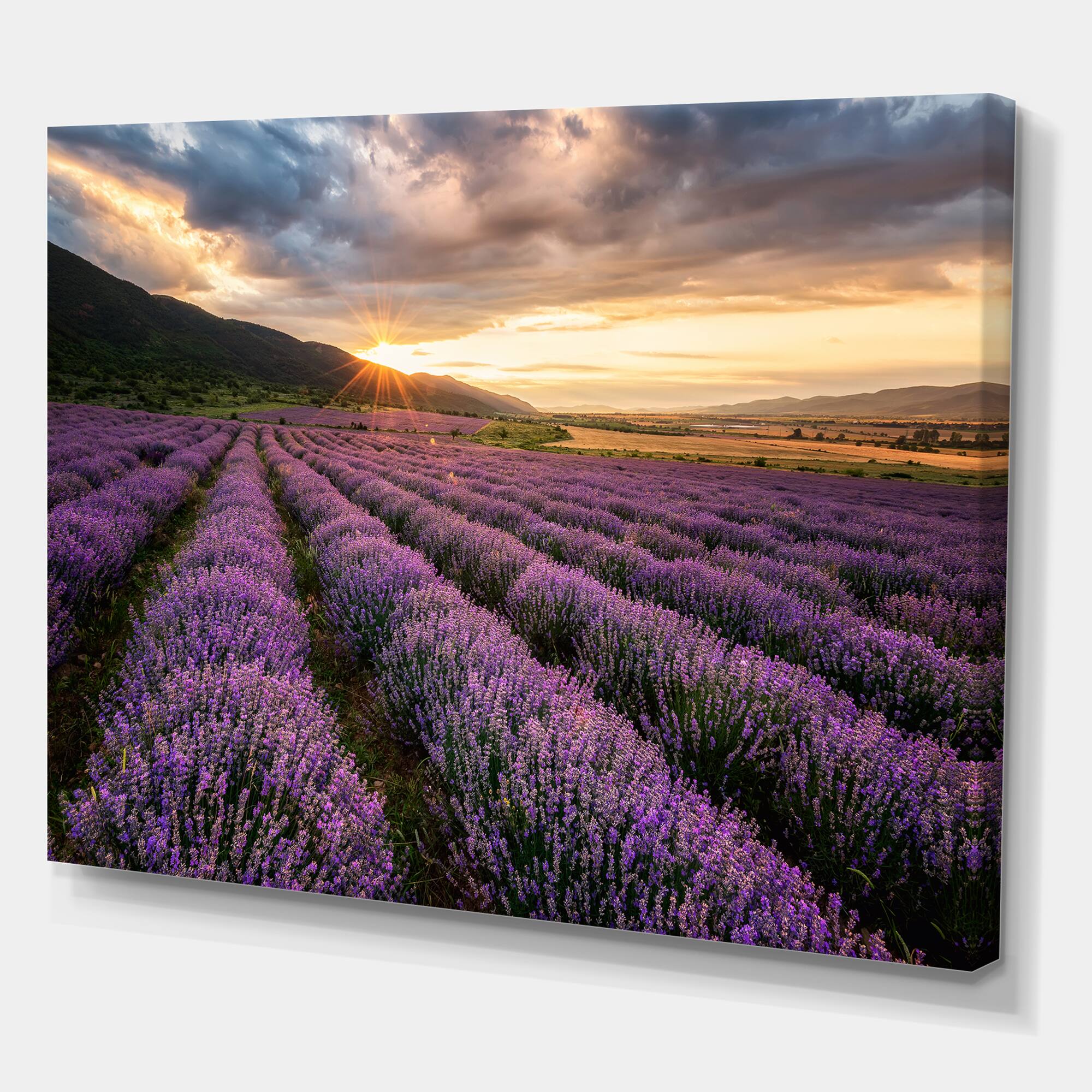 Designart - Sunrise & Dramatic Clouds Over Lavender Field VI - Farmhouse Canvas Wall Art Print