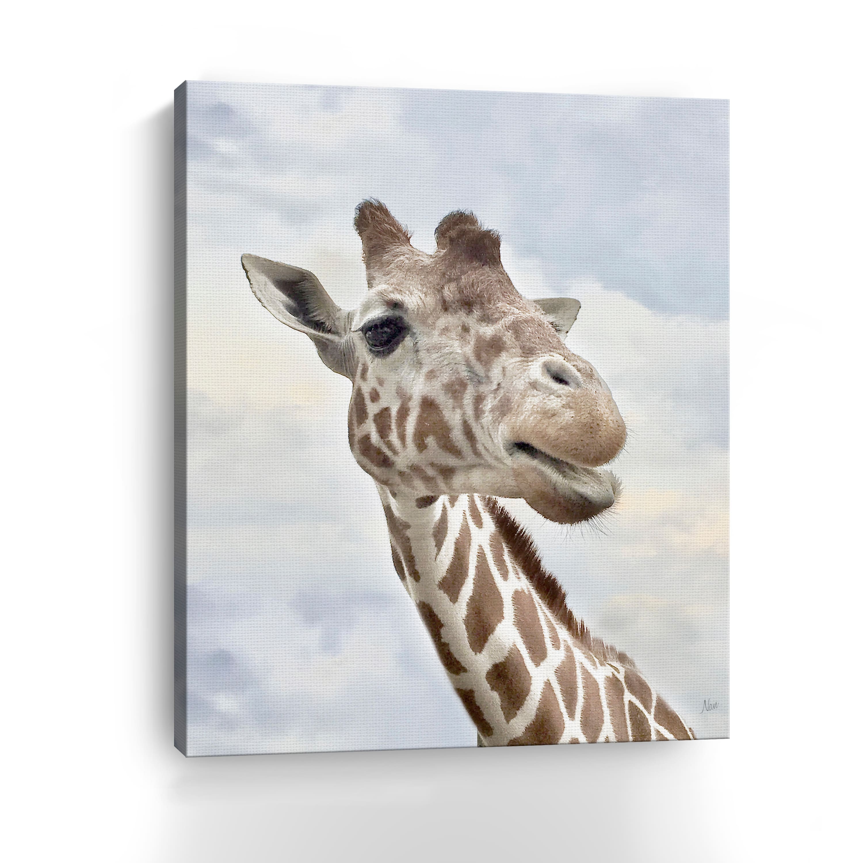 Smiley Canvas Giclee