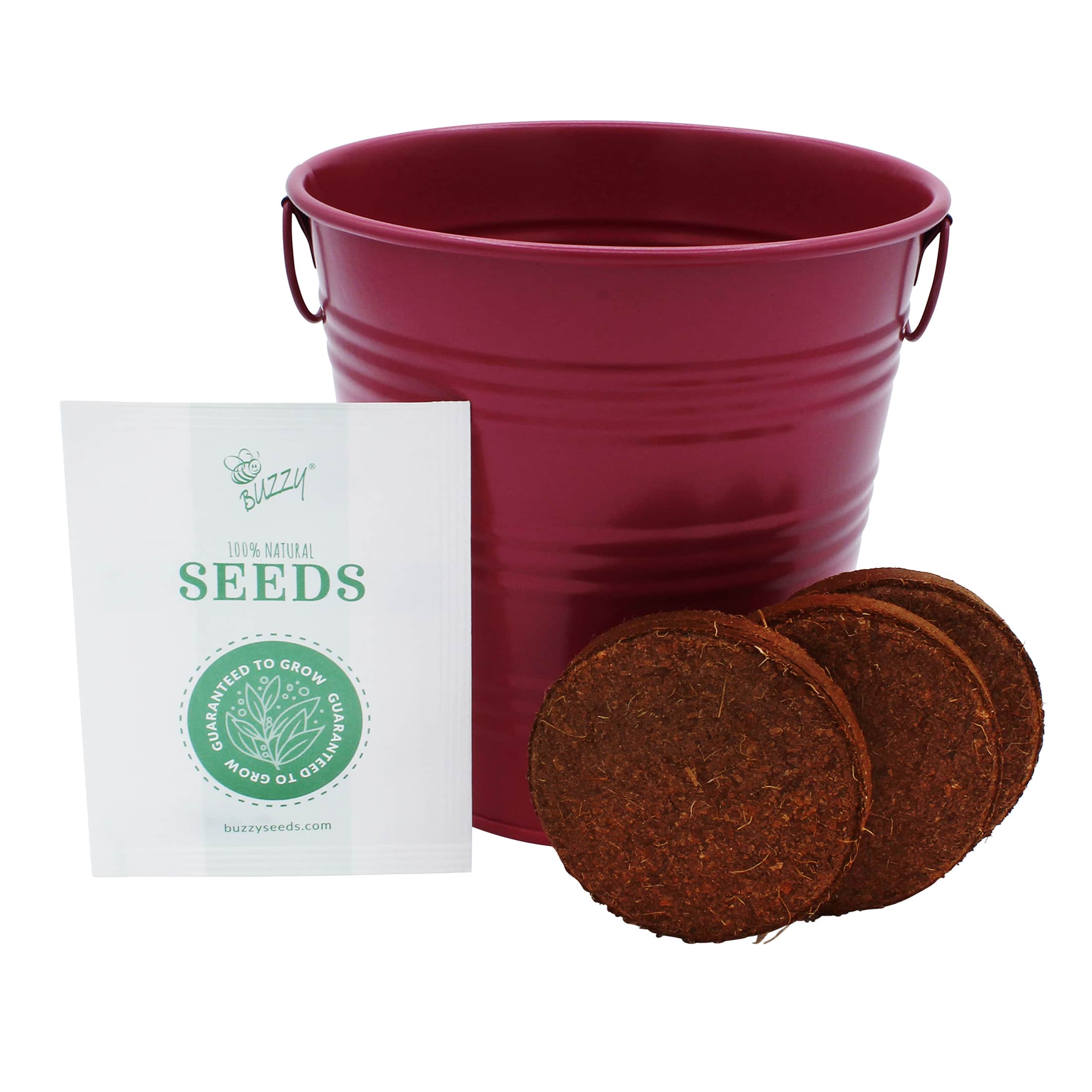 Buzzy® Mini Rose Pail Complete Grow Kit