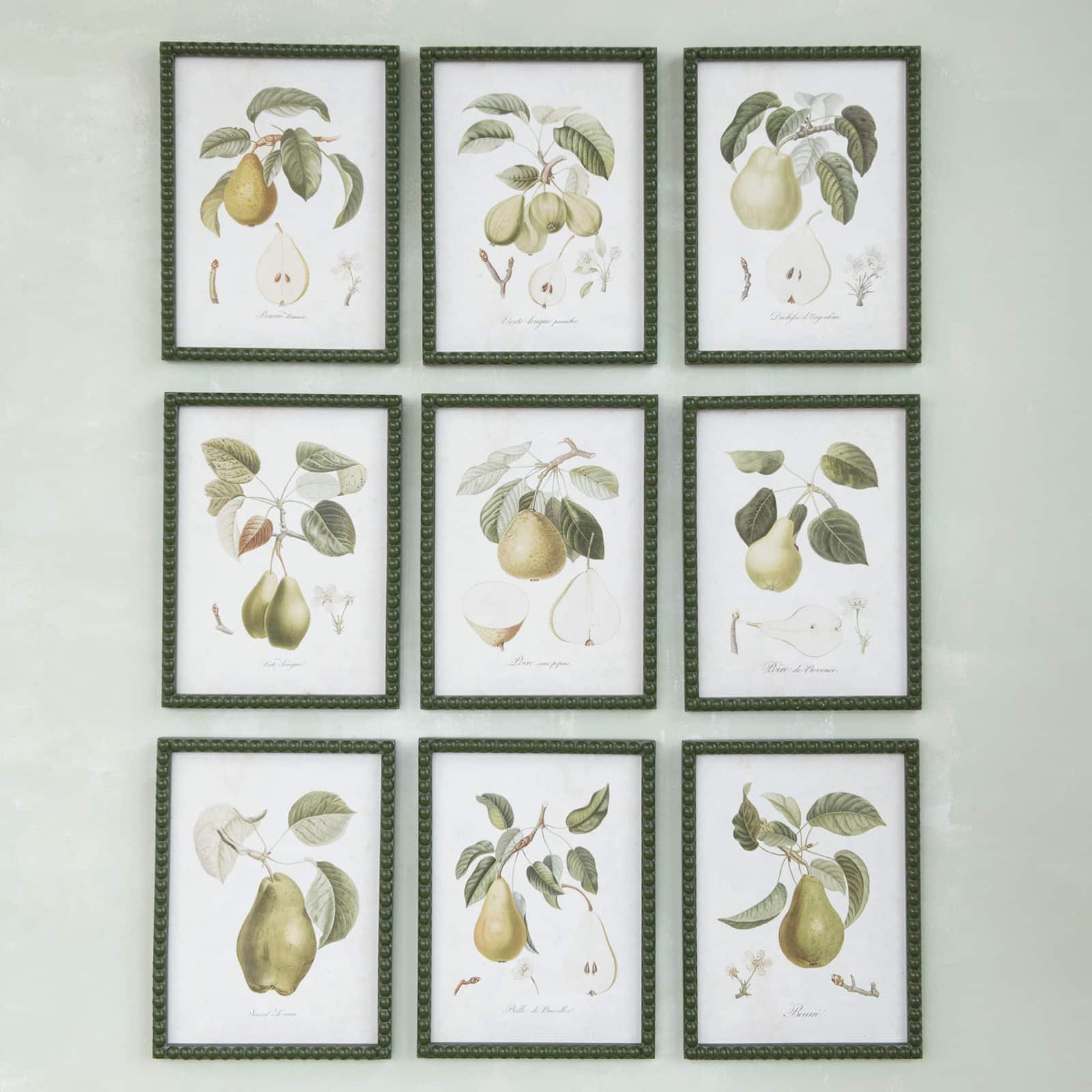 Hello Honey® 11.75" x 15.75" Orchard Essence Pear Print Collection Wall Art Set