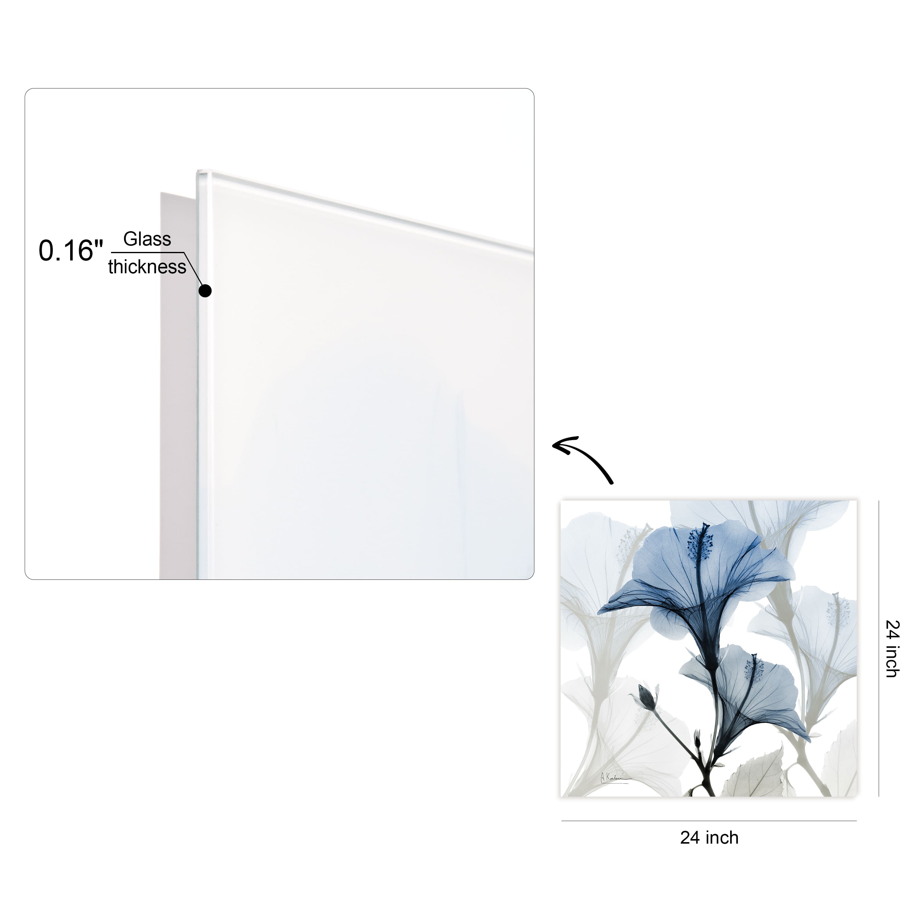 Empire Art Direct 24" x 24" Blue X-Ray Floral Free Floating Tempered Glass Wall Art