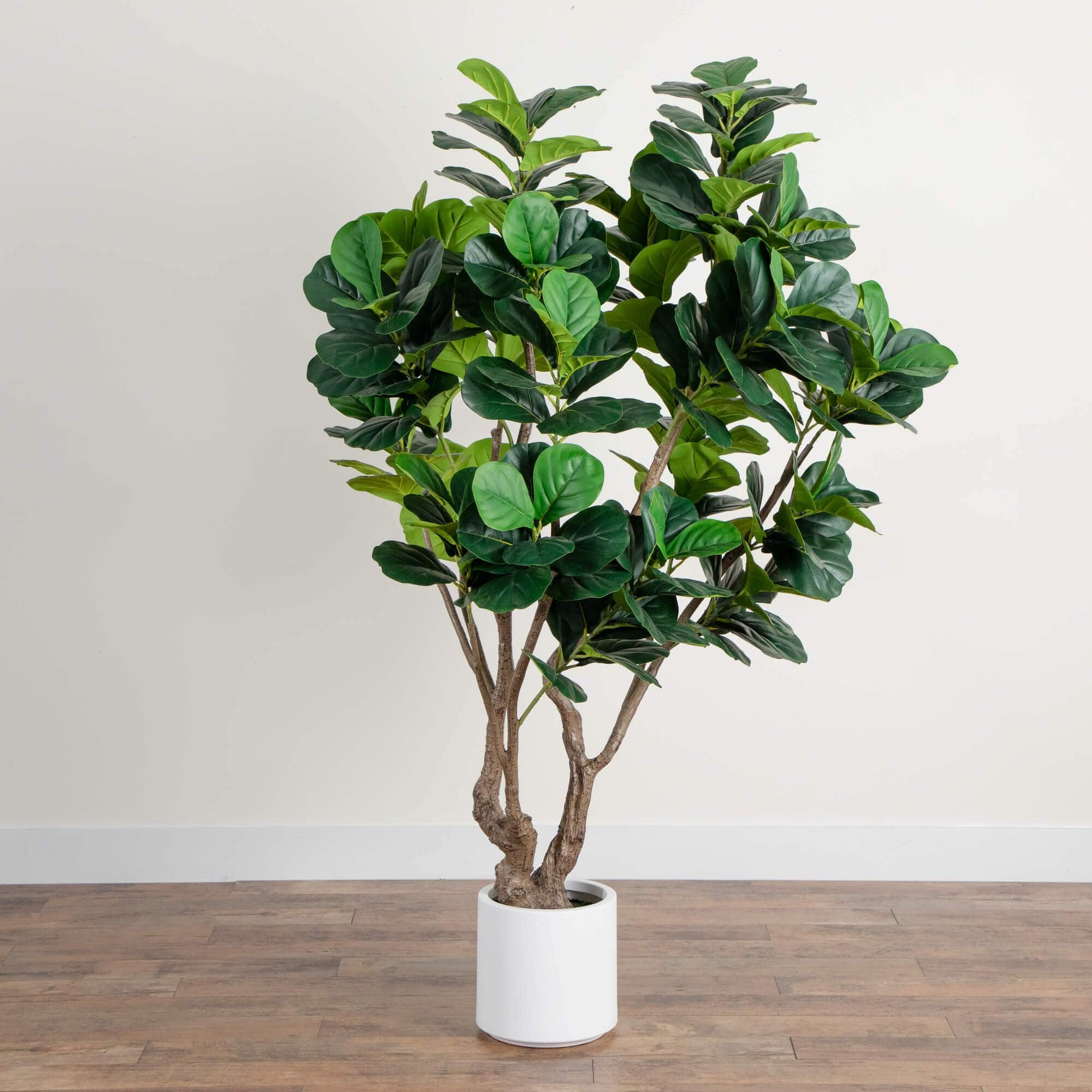 6ft. Artificial Grand Fiddle Leaf Tree in White Decorative Planter