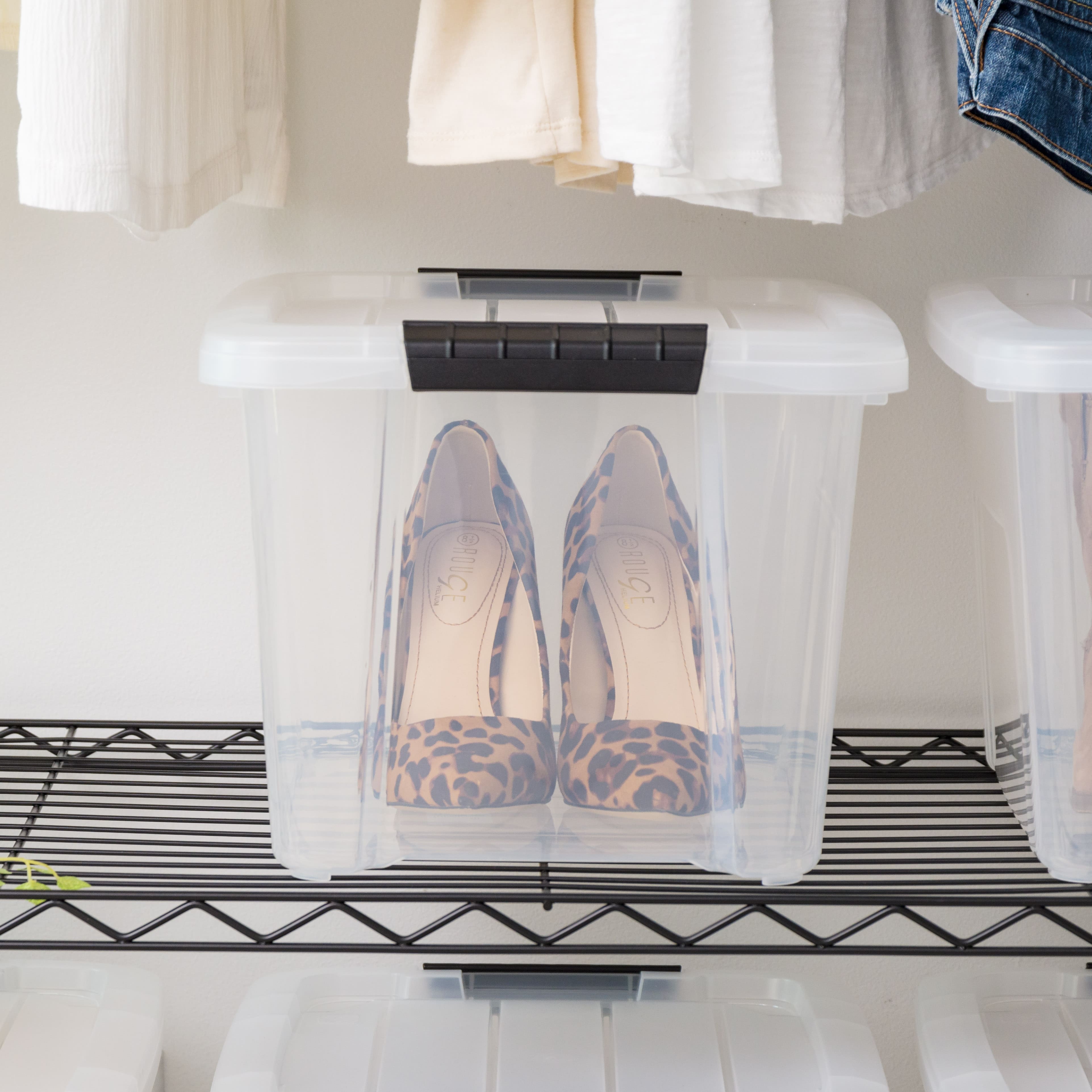 IRIS® 20.5qt. Buckled Clear Boxes with Clear Buckle Lids, 6ct.