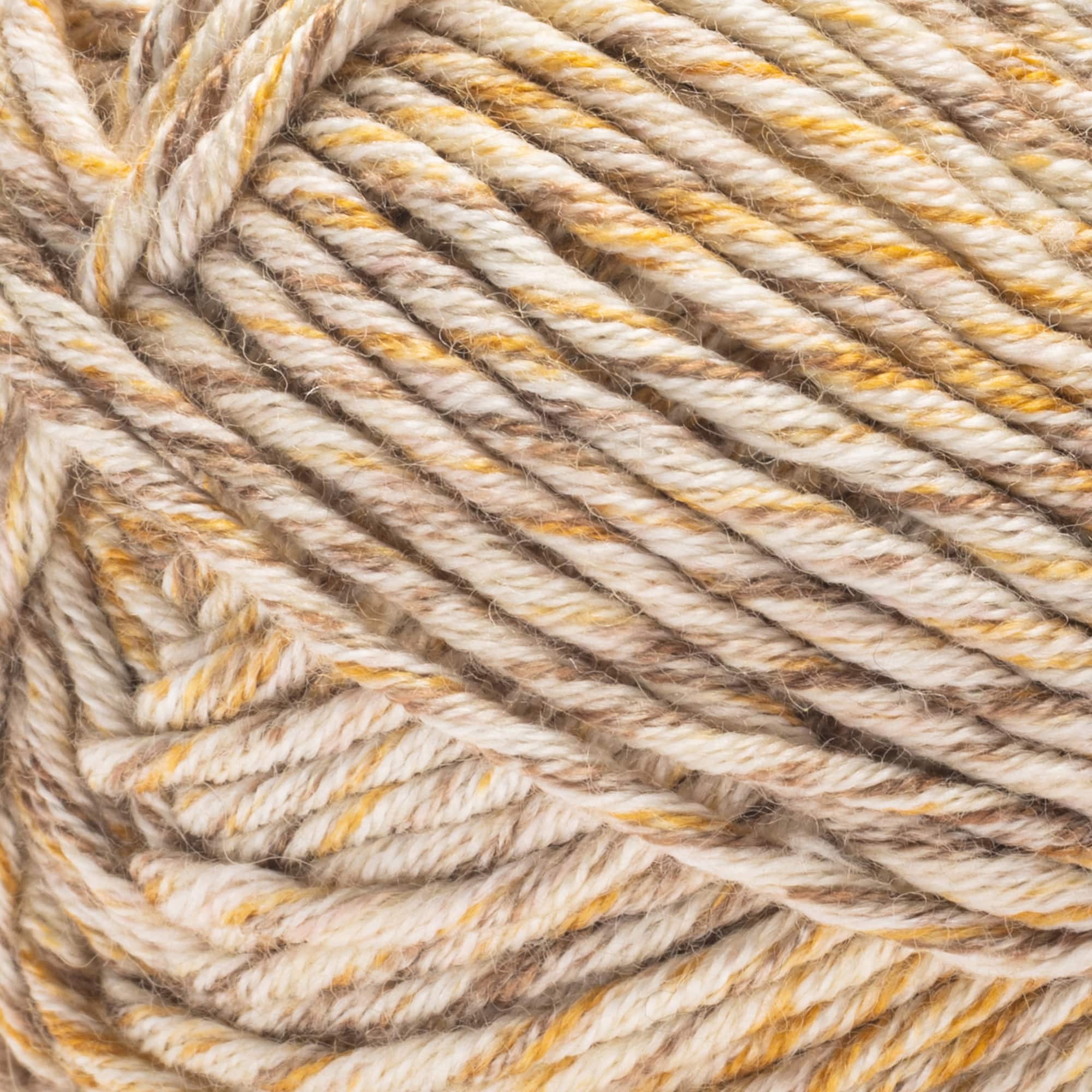 2 Pack Caron® Simply Me Mosaic™ Yarn