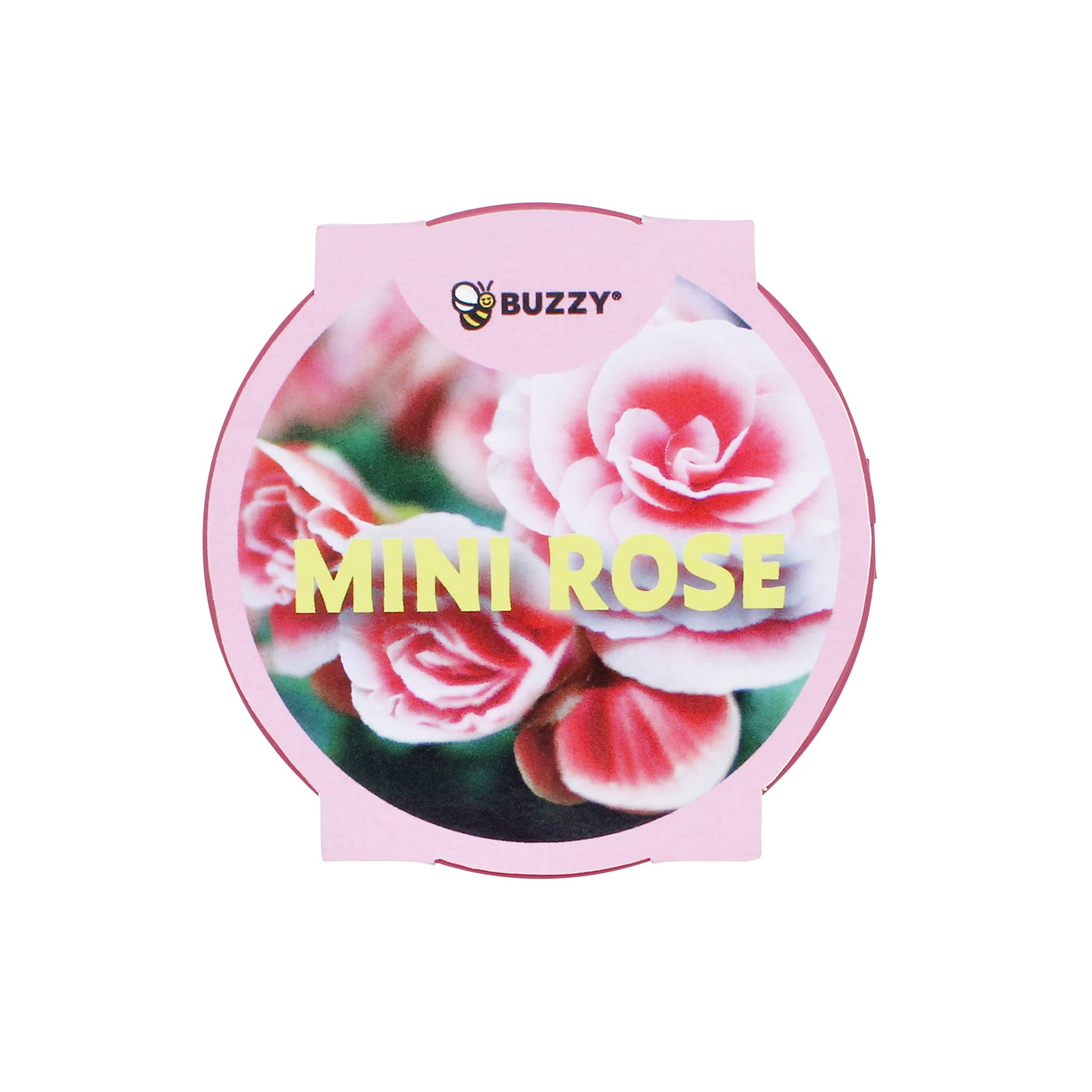 Buzzy® Mini Rose Pail Complete Grow Kit
