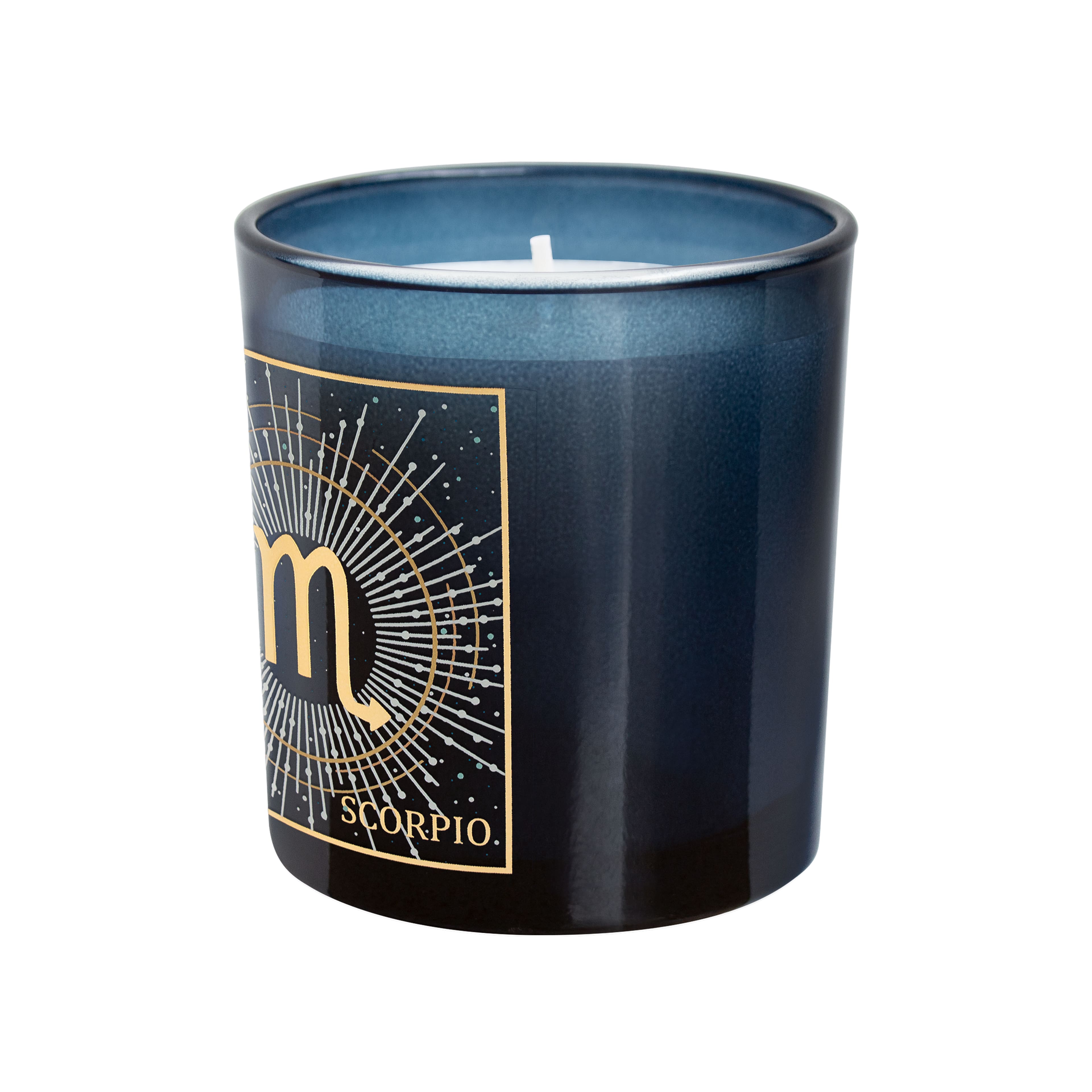 6oz. Zodiac Scented Candle by Ashland