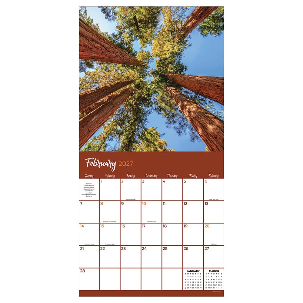 2027 Trees Wall Calendar