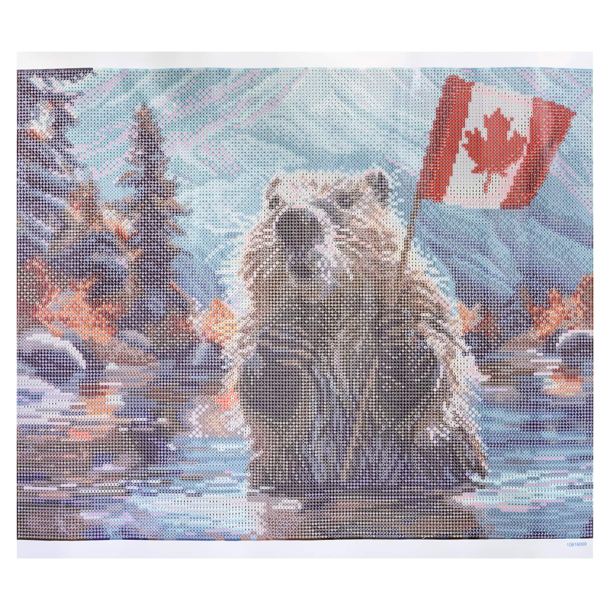16" x 20" Canada Beaver Diamond Art Kit with Wood Frame by Make Market®