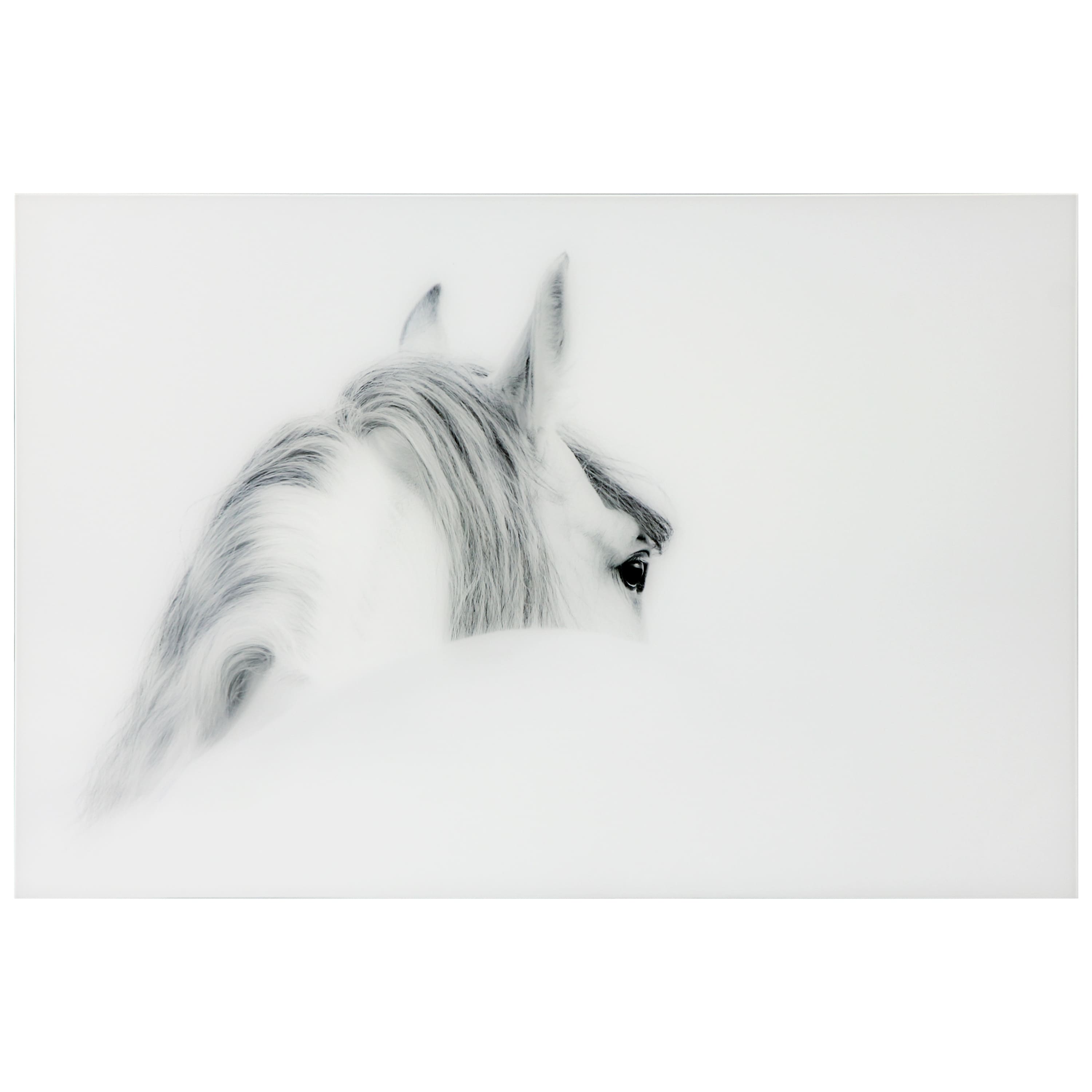 Empire Art Direct Vetro De Arte 48" x 32" Blanco Mare Horse Frameless Free Floating Printed Tempered Glass Wall Art