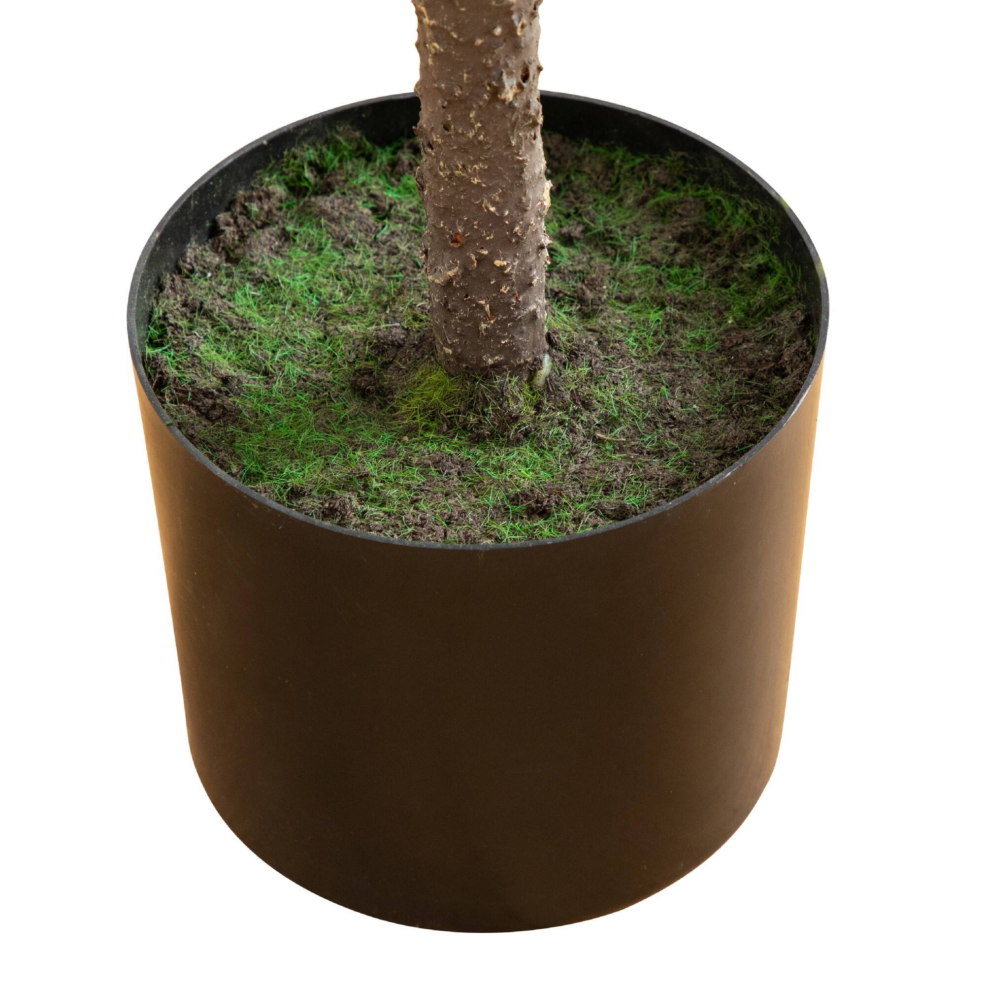 4ft. Unlit Down Swept Real Touch Norfolk Pine Artificial Christmas Tree in Nursery Pot