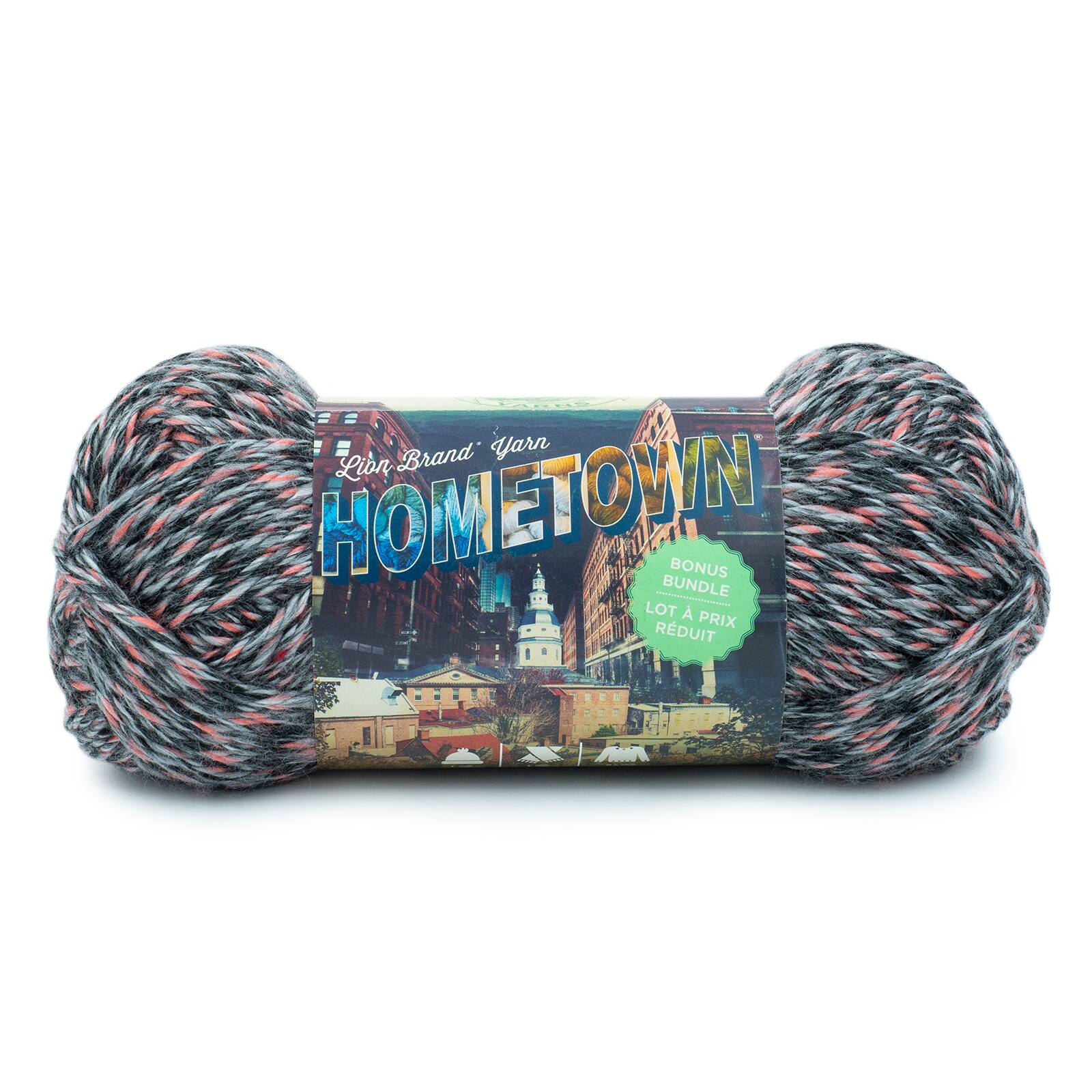 Lion Brand® Hometown® Bonus Bundle® Multicolor Tweed Yarn