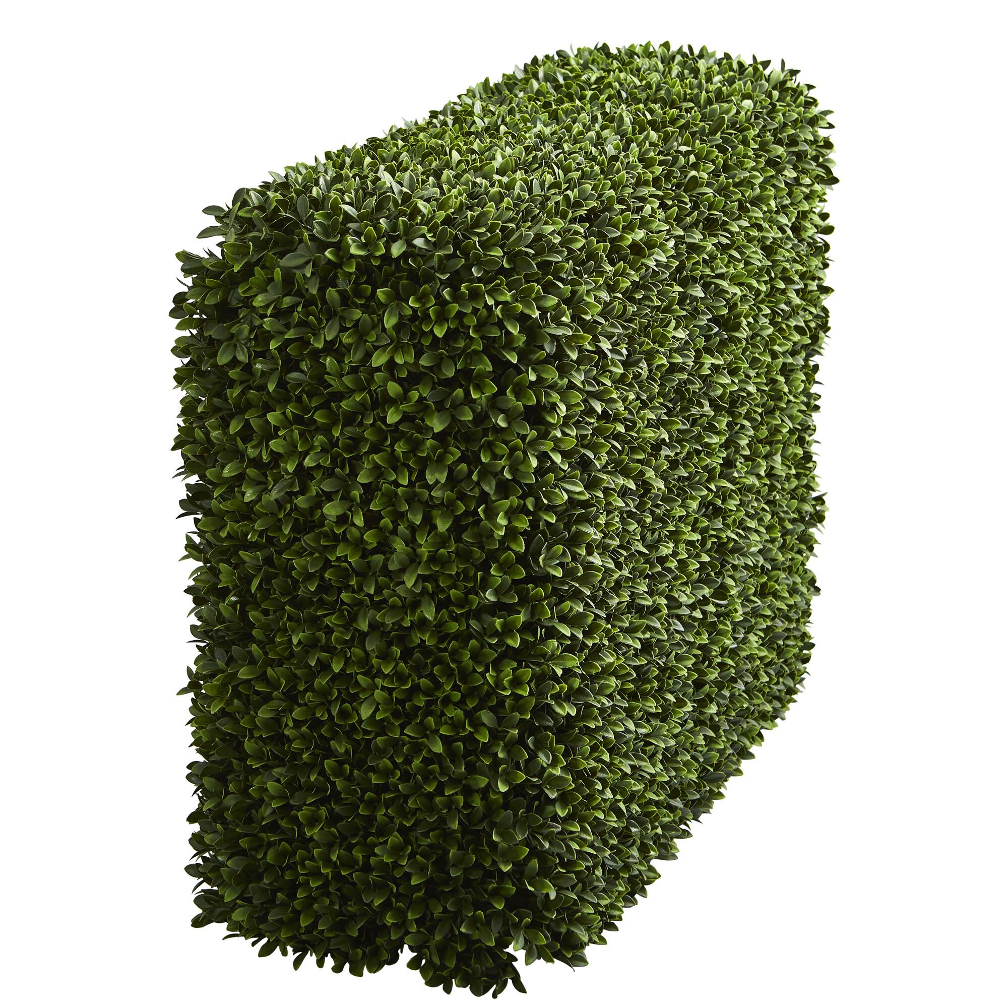 3.5ft. Boxwood Hedge