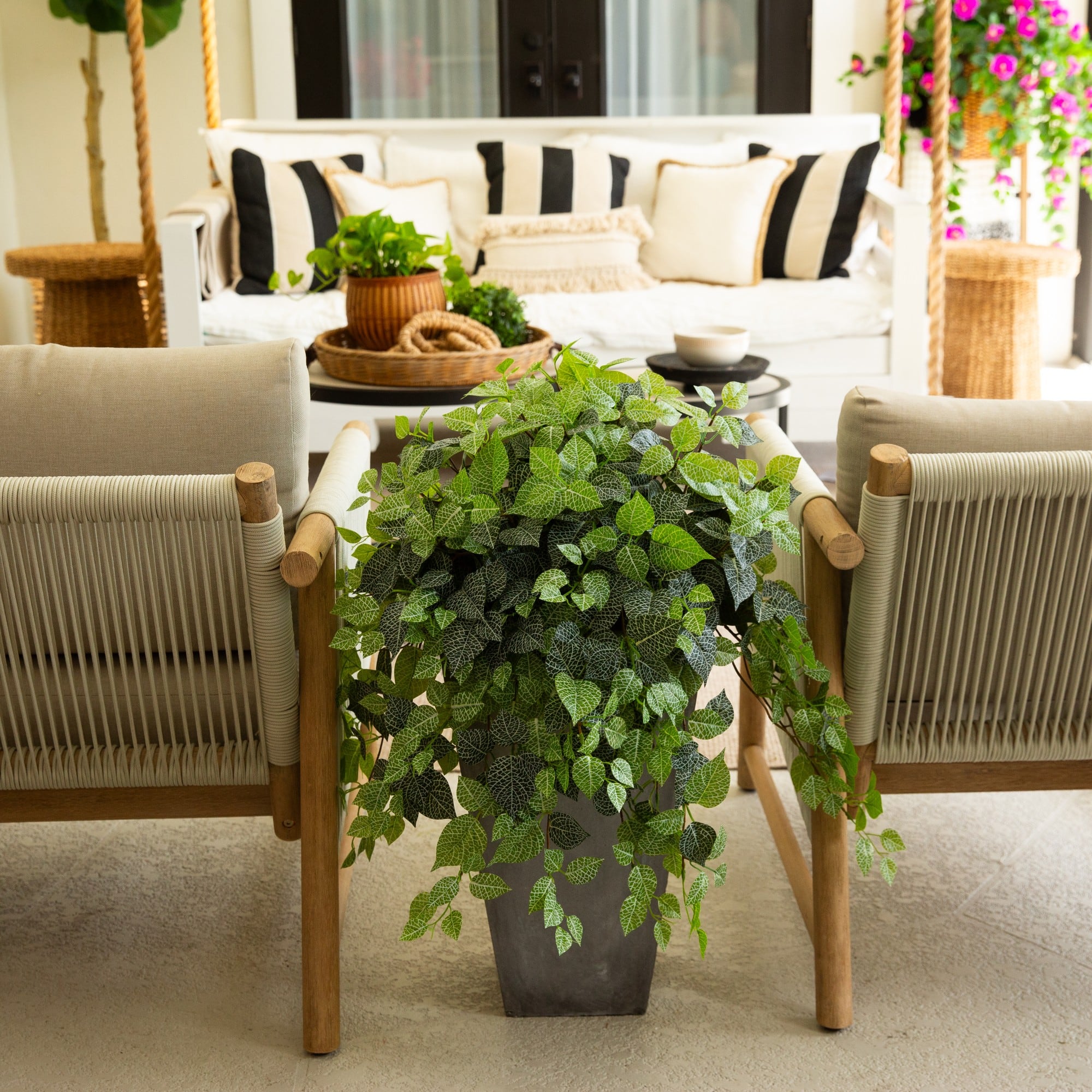 24" UV Resistant Artificial Fittonia Hanging Plant (Indoor/Outdoor) - Set of 3