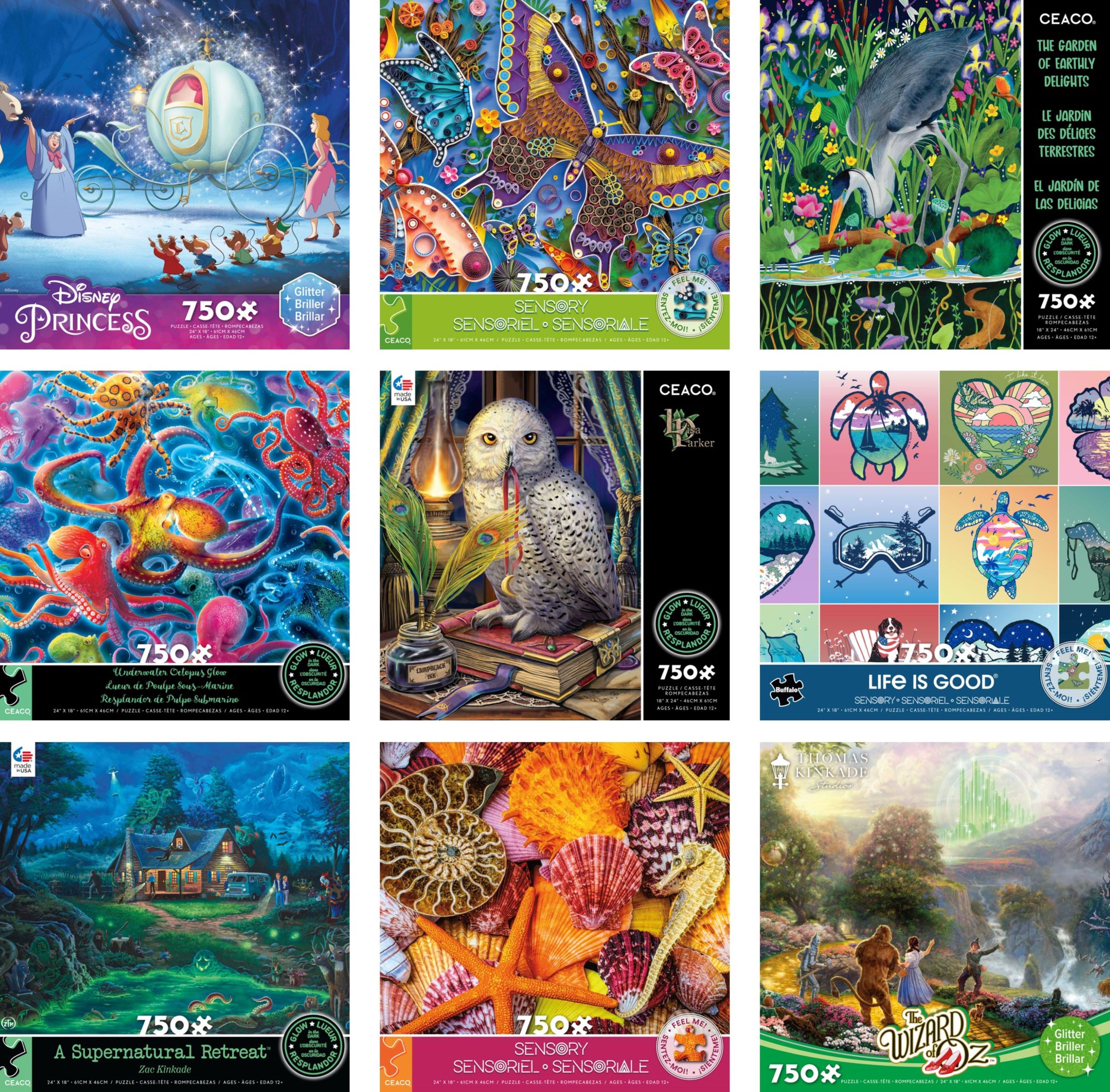 Assorted Deluxe 750 Piece Puzzle