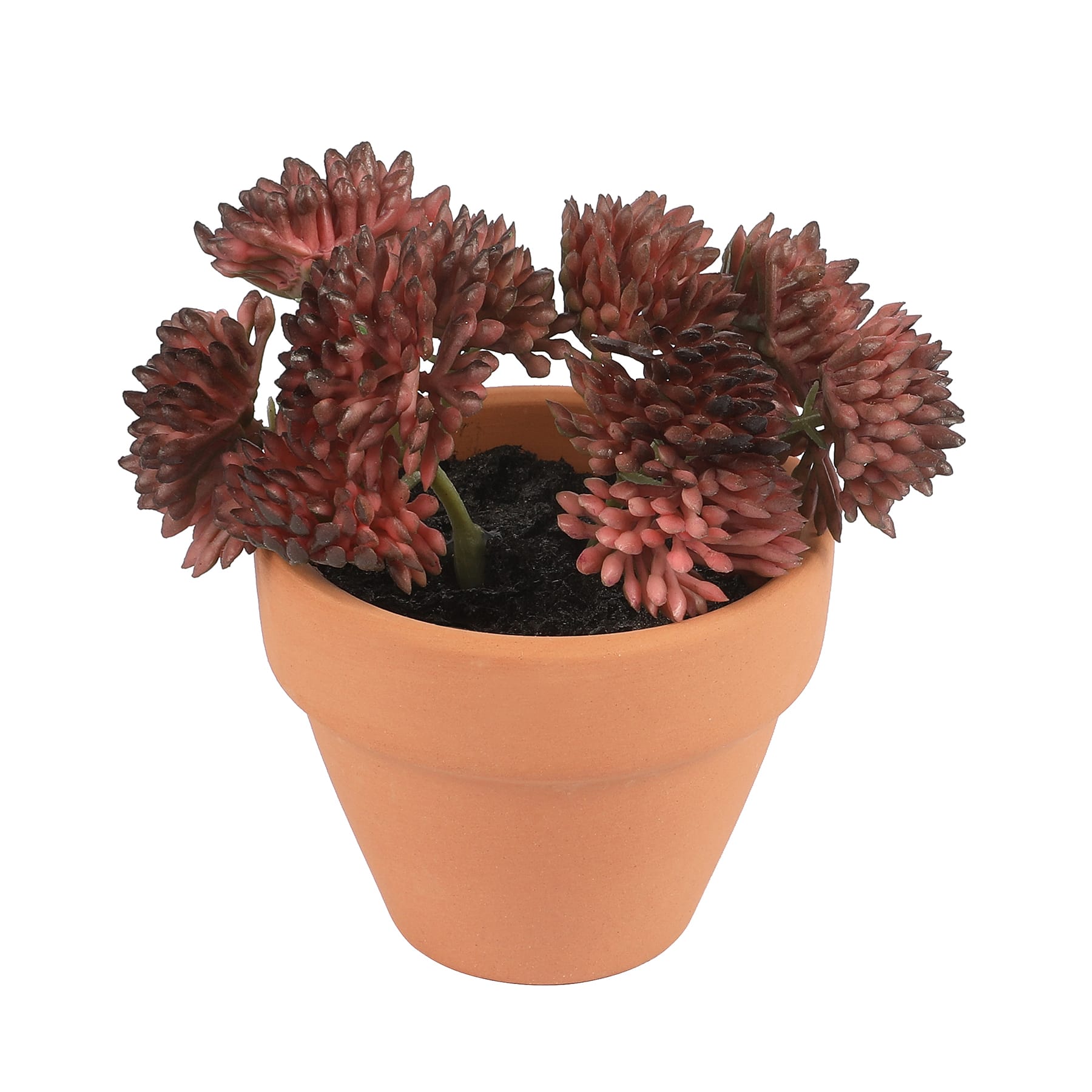 6 Packs: 6 ct. (36 total) Mini Premade Succulents in Terra Cotta Pots by Ashland®