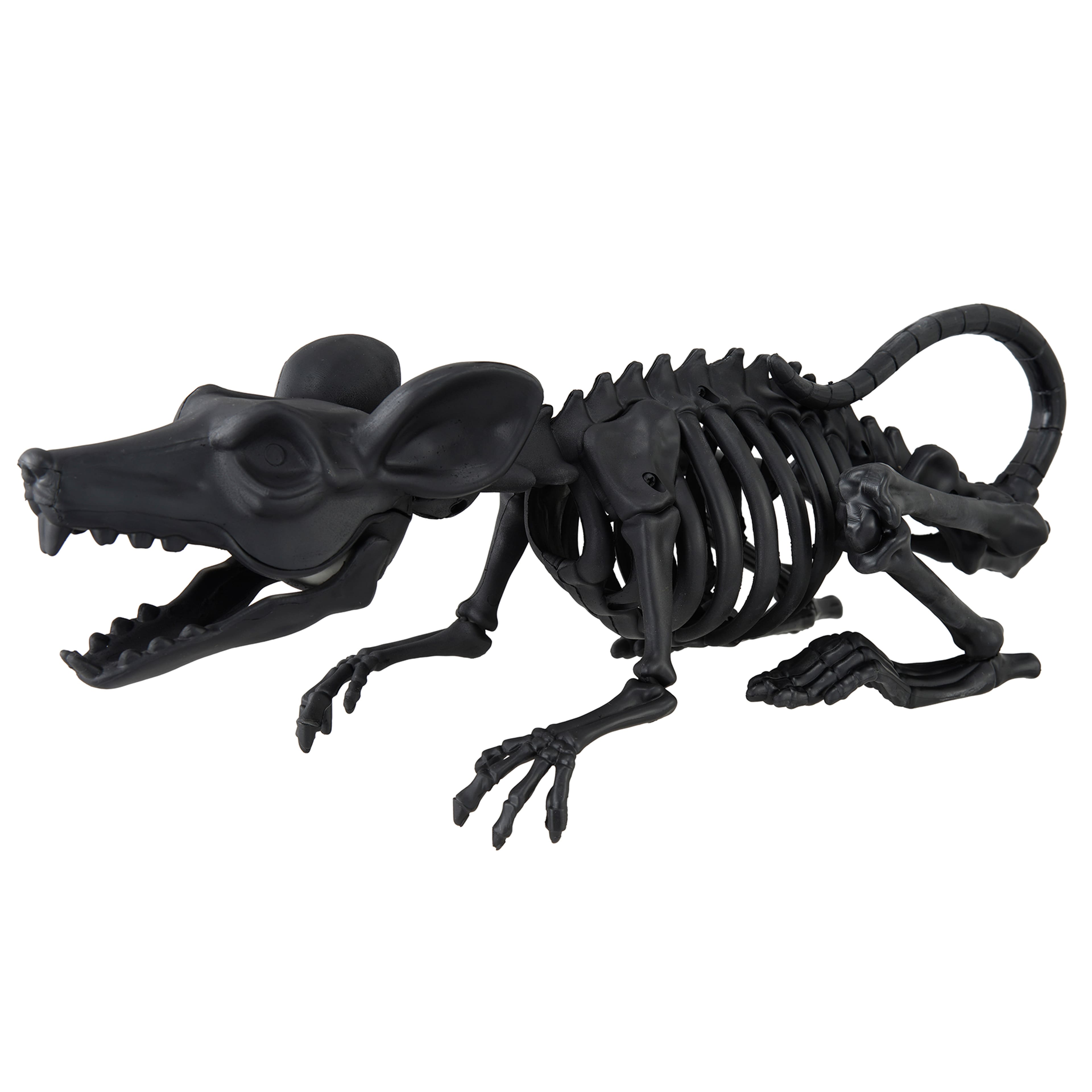 14" Mouse Skeleton by Ashland®