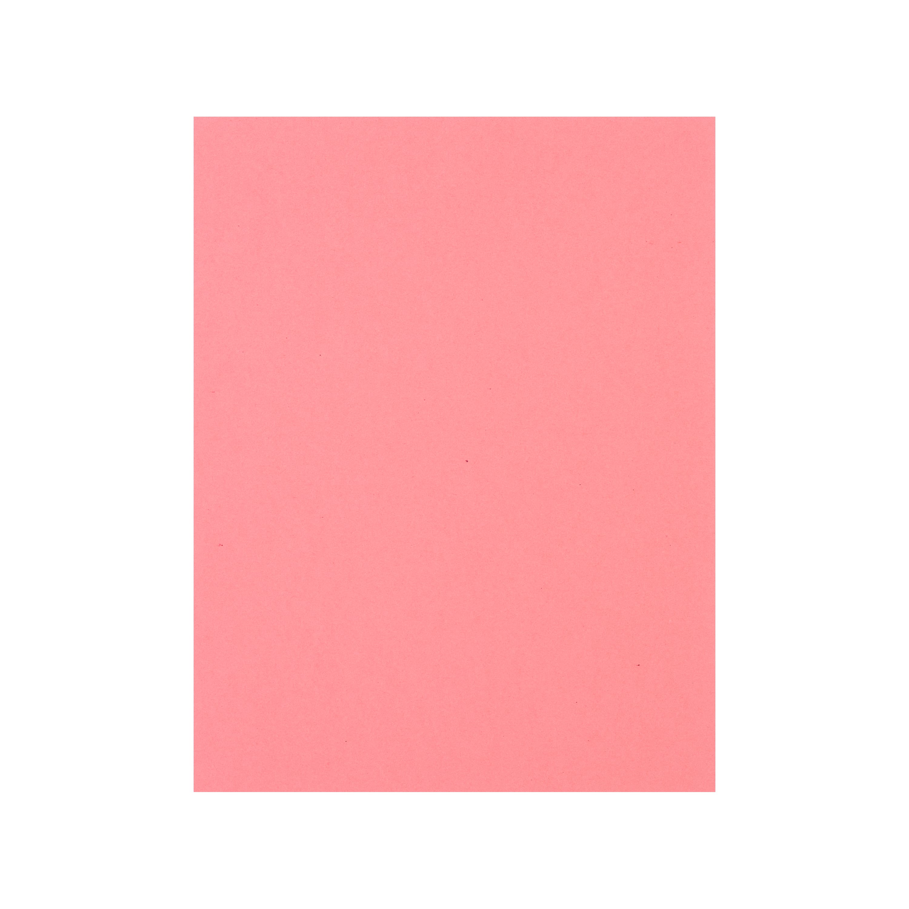 12 Packs: 50 ct. (600 total) Flamingo 8.5" x 11" Cardstock Paper by Recollections™