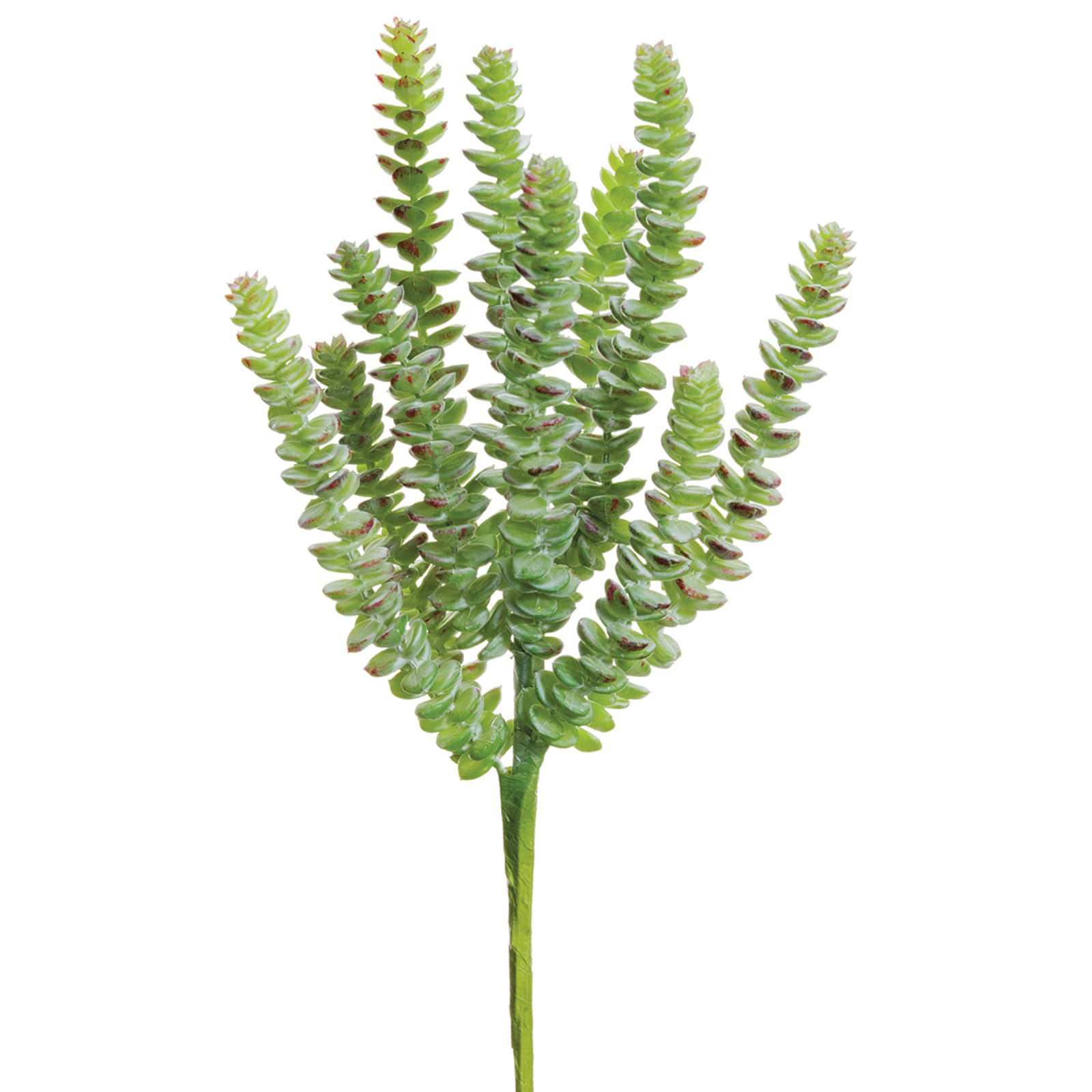 Soft Touch Green & Red Donkey Tail Pick 