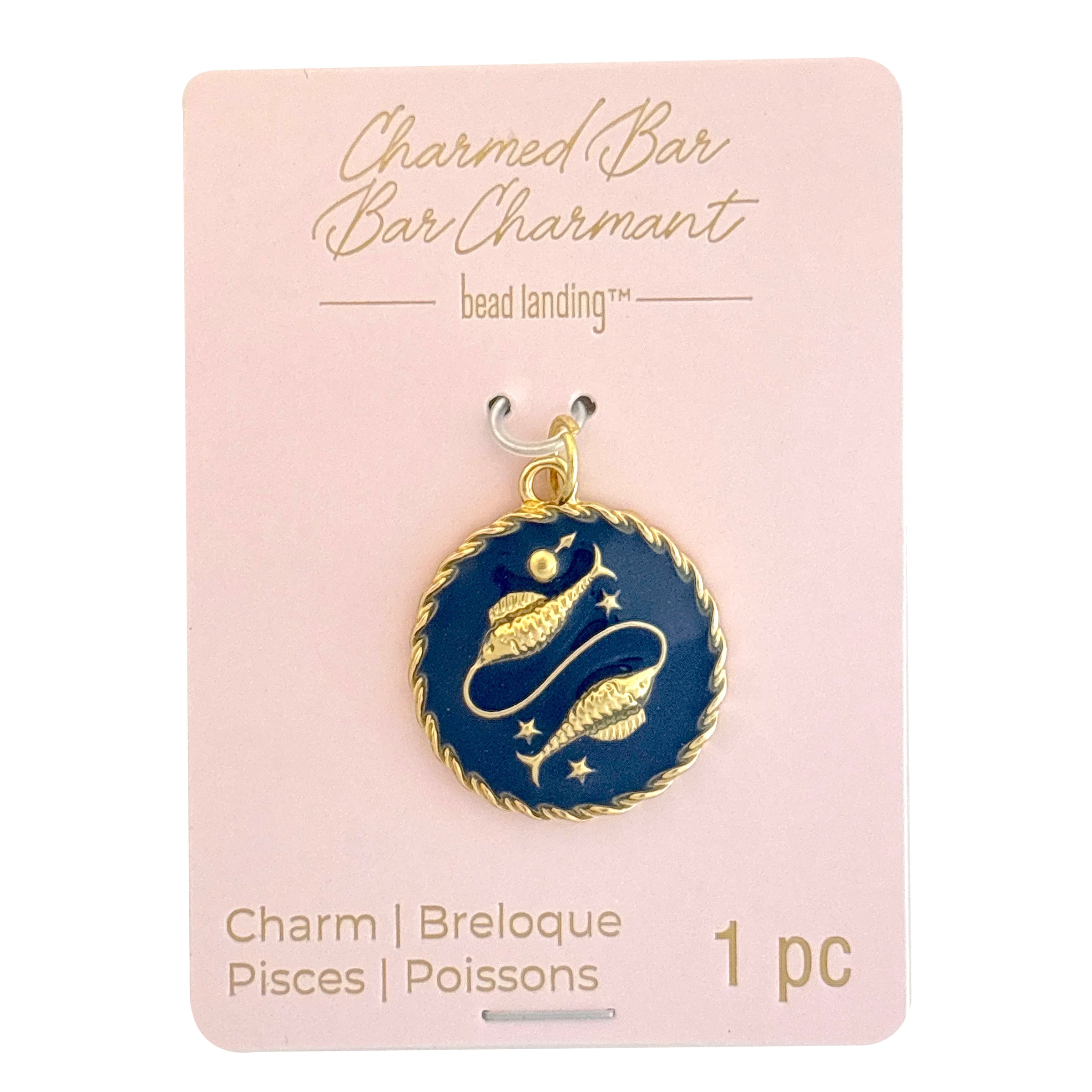 Charmed Bar Enameled Round Metal Zodiac Charm by Bead Landing