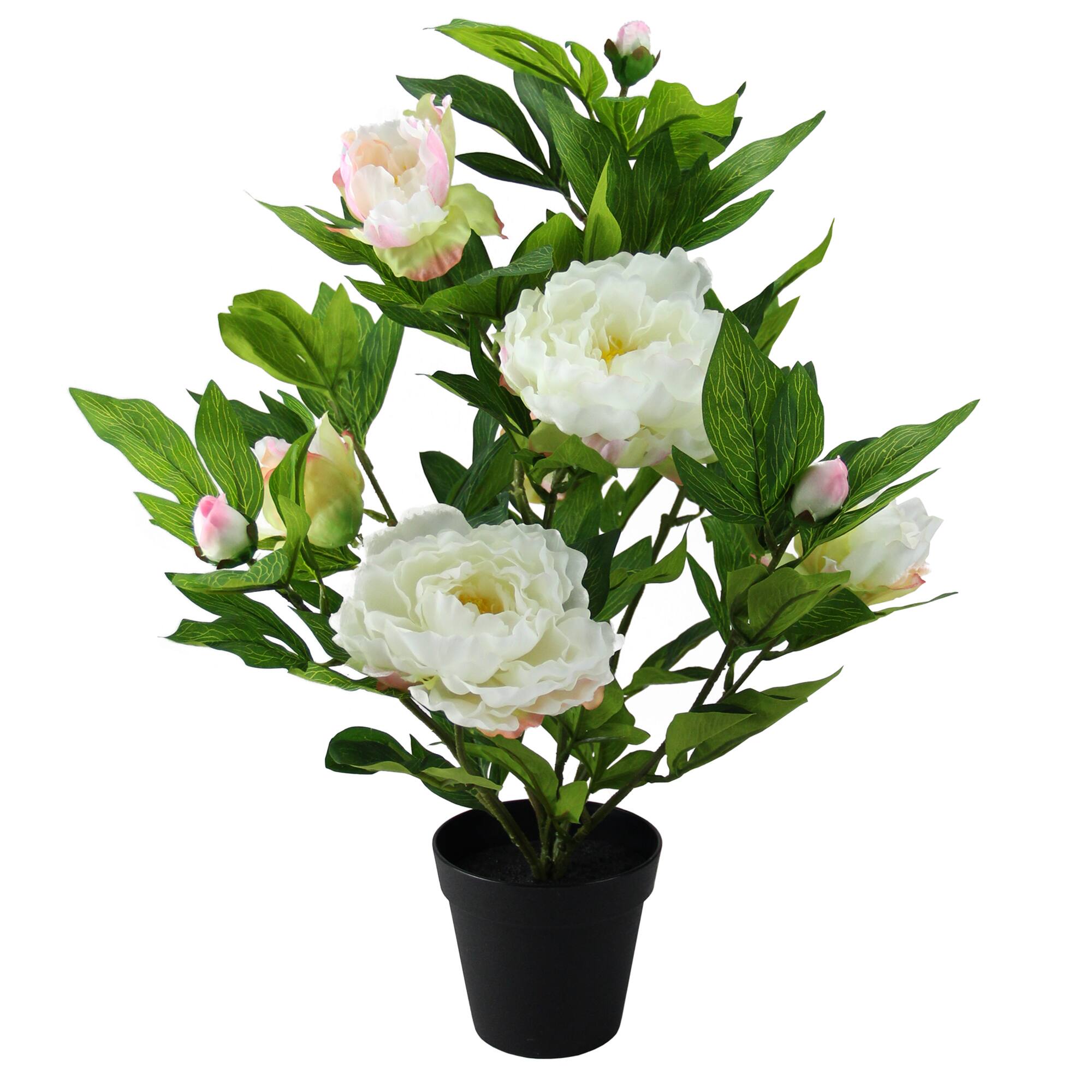 17.25" Creamy White & Pink Artificial Blooming Potted Peony