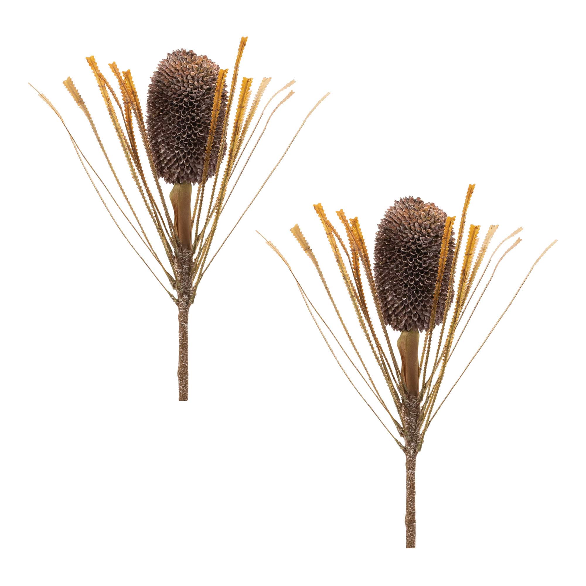 Melrose 28" Artificial Fall Banksia Pod Stems, 2ct. in Beige/Brown | Michaels®