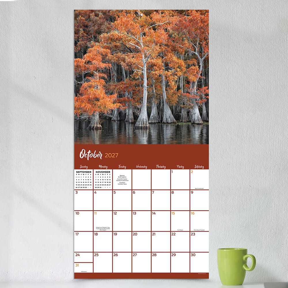 2027 Trees Wall Calendar