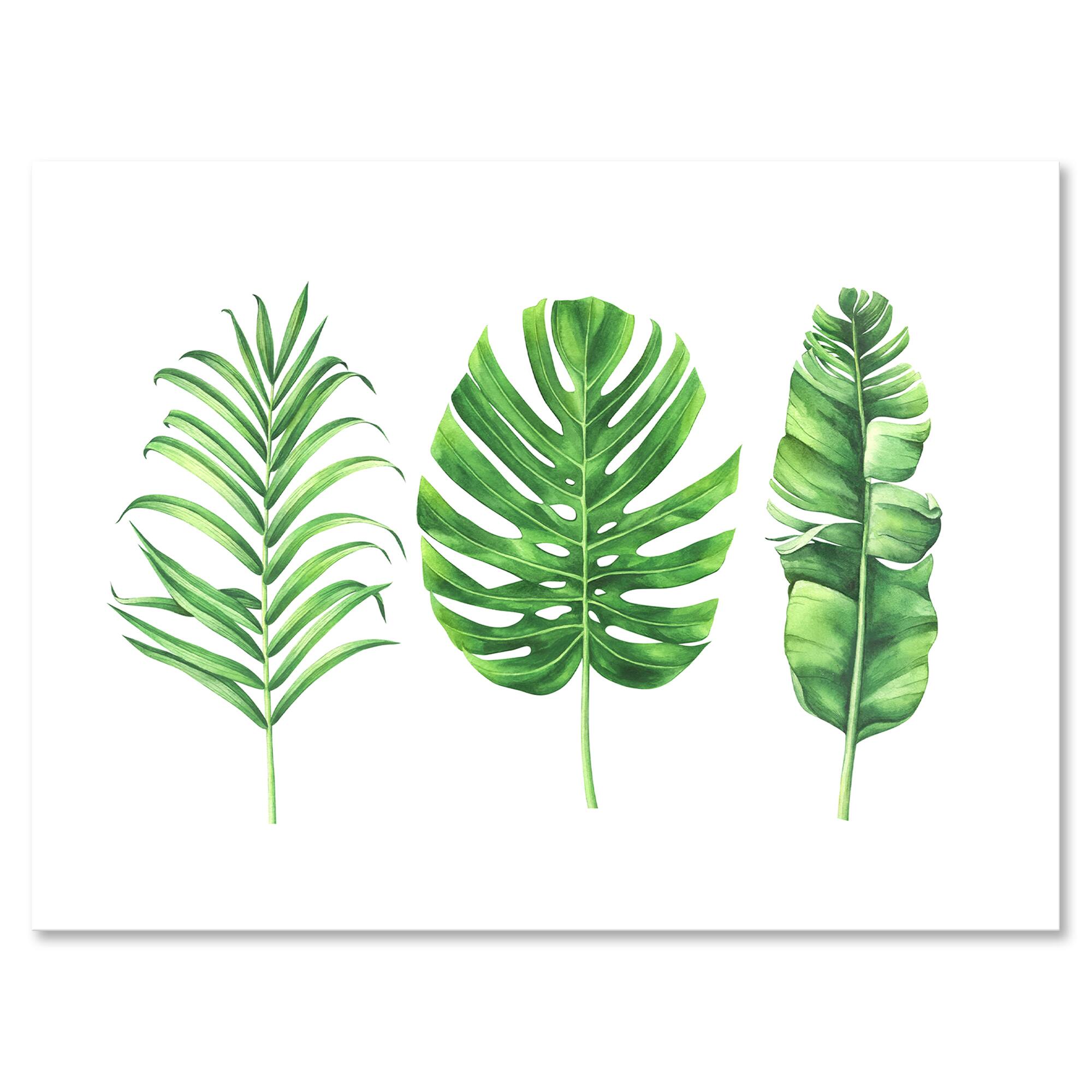 Designart - Tropical Leaf Of Monstera IV