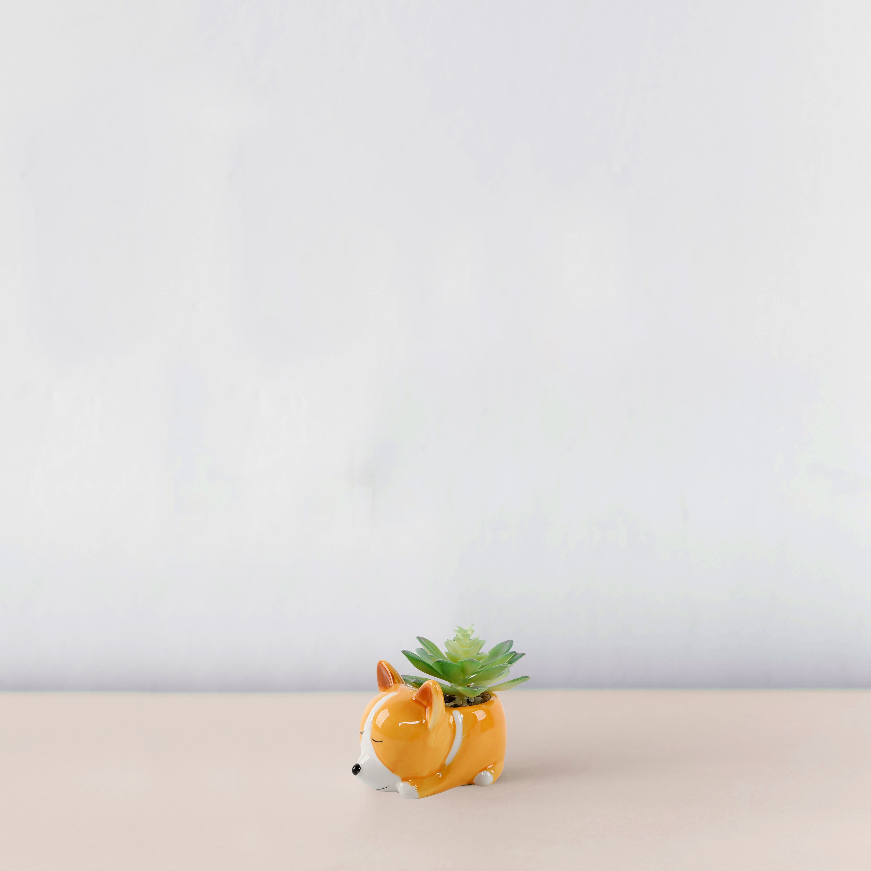 Flora Bunda® 5.5" Green Succulent in Orange Ceramic Puppy Planter