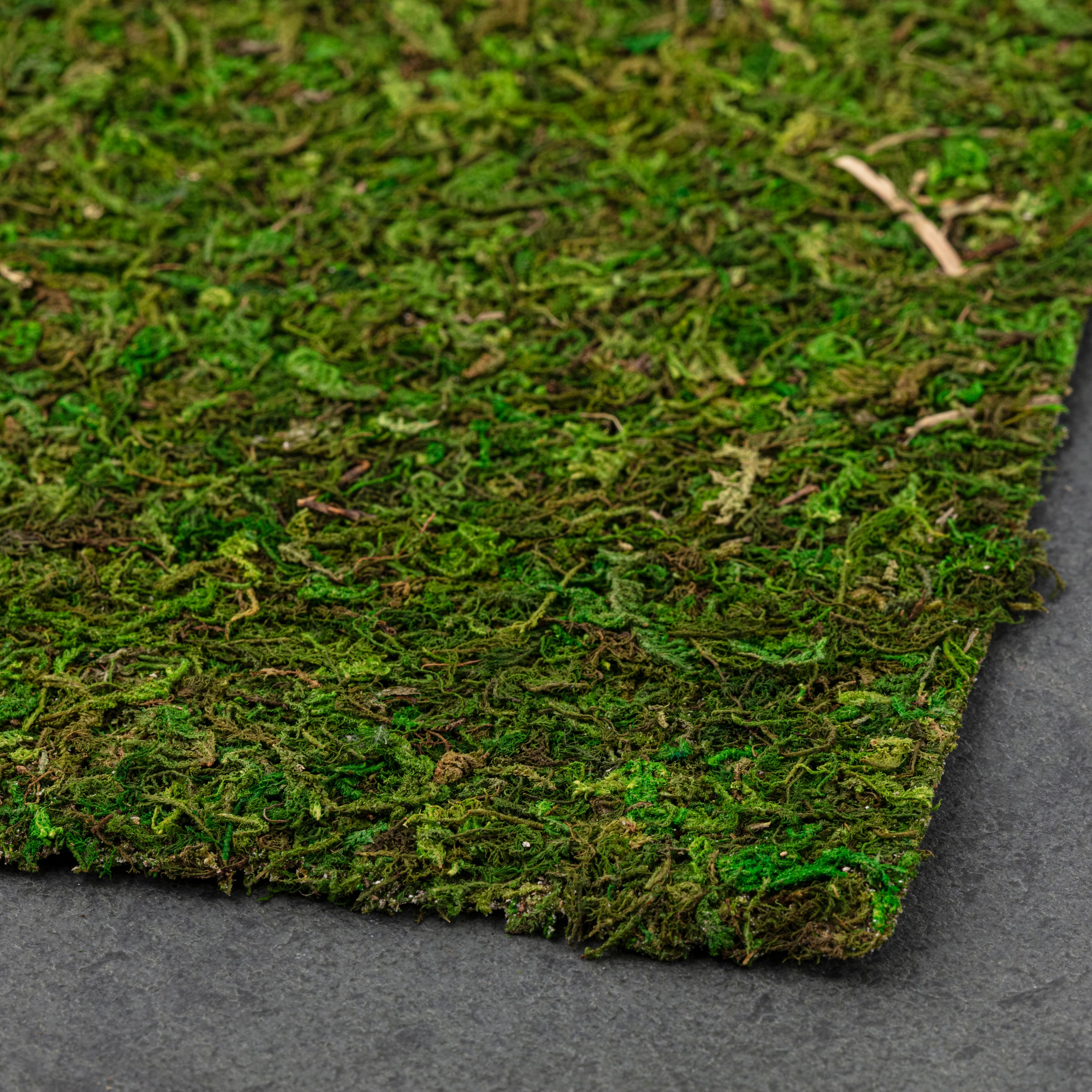 12 Pack: Moss Mat by Ashland®