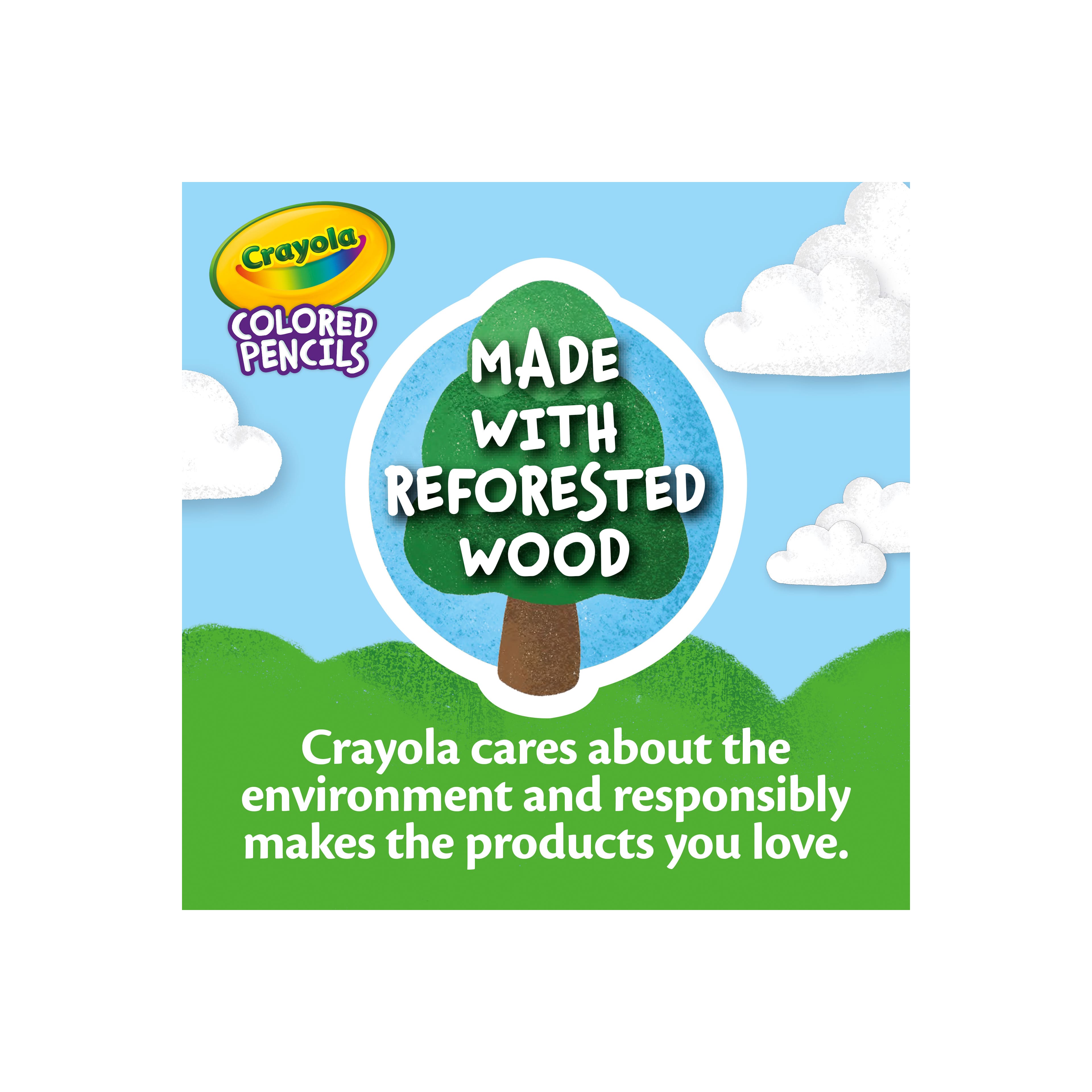Crayola® Coloured Pencils, 100ct.