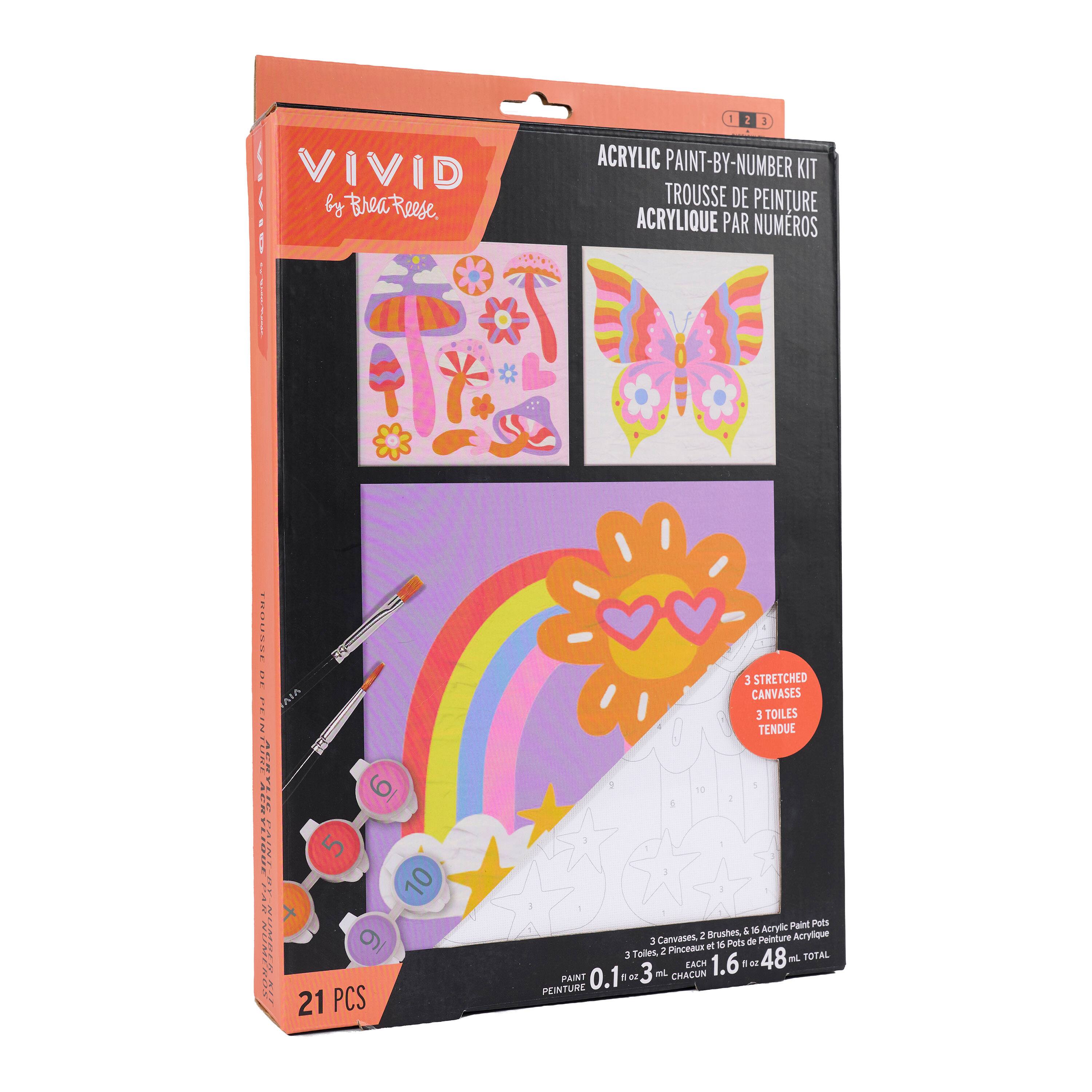 Vivid by Brea Reese® Rainbows & Butterflies Acrylic Paint-by-Number Kit