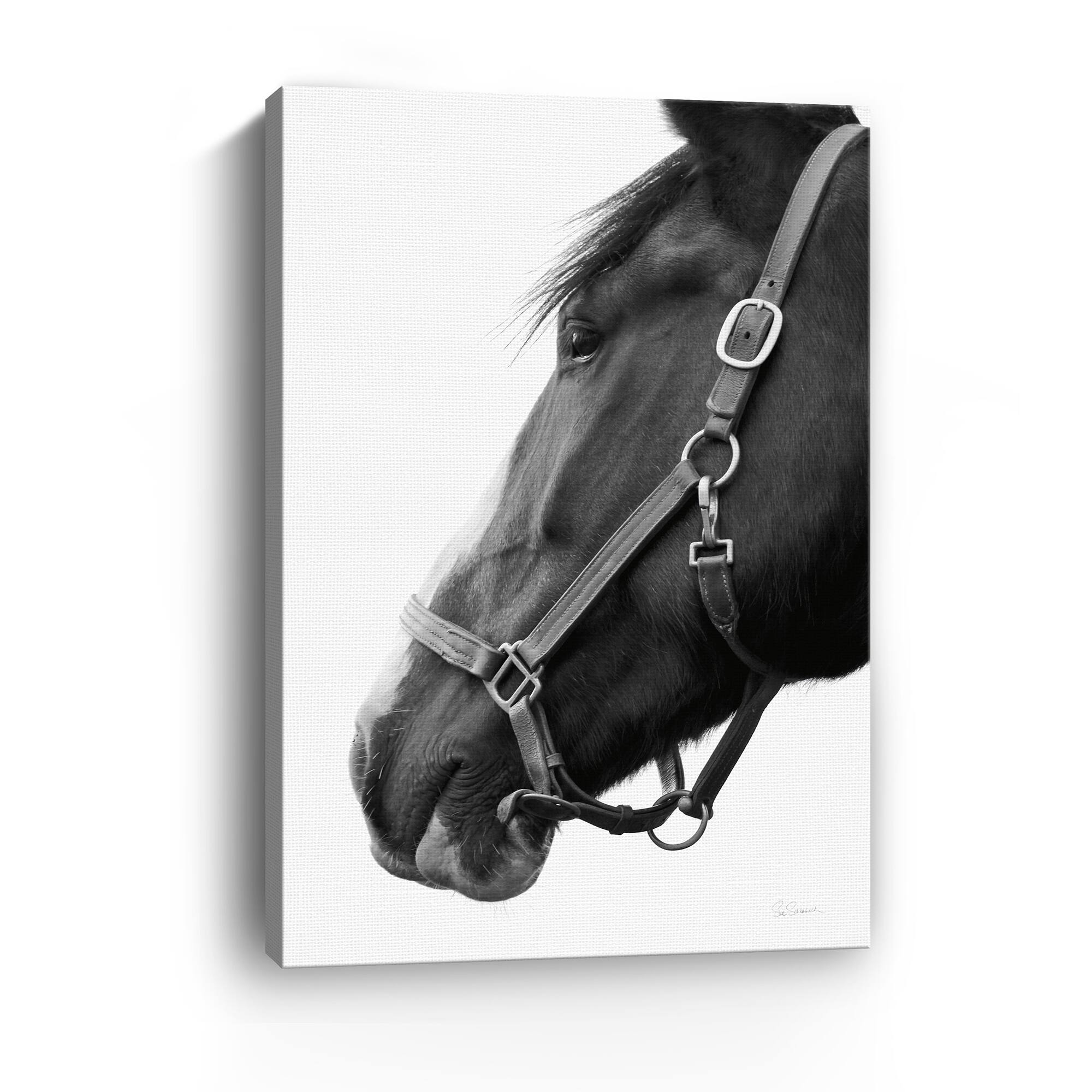 Lumaprints In Halter Canvas Giclée Art