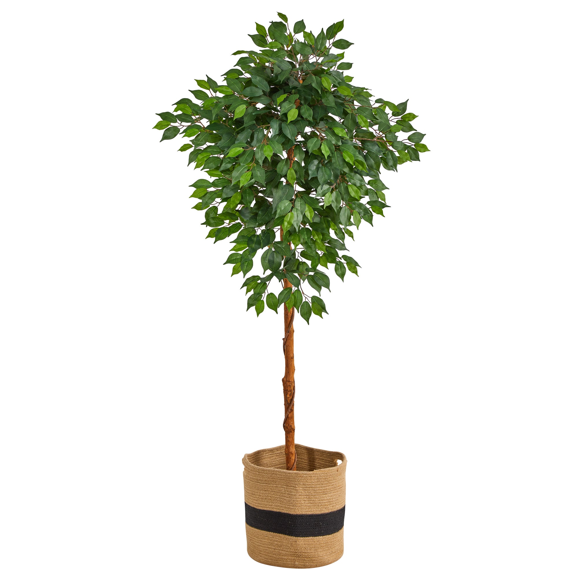 6ft. Artificial Ficus Tree with Basket