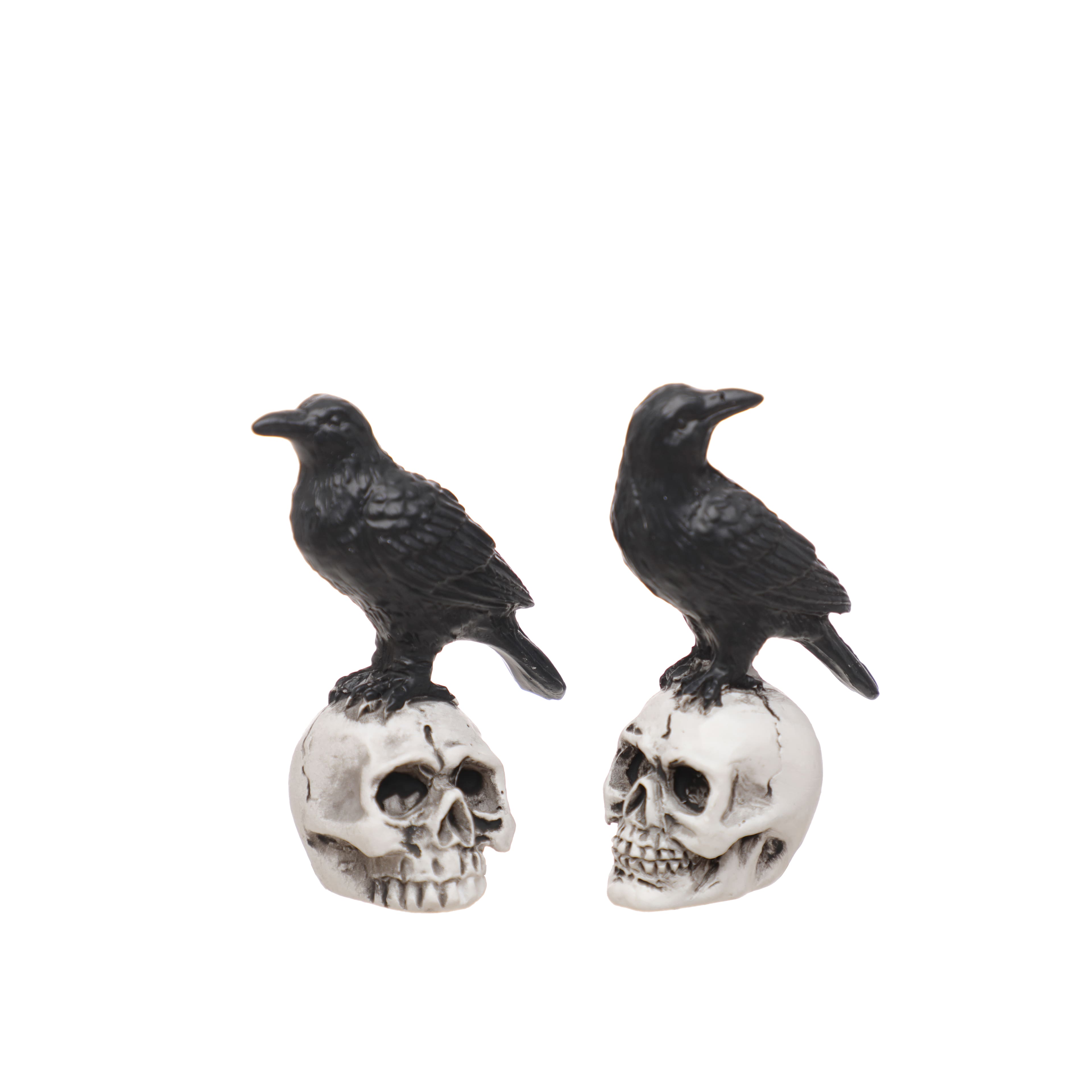 Mini Raven on Skull, 2ct. by Ashland®