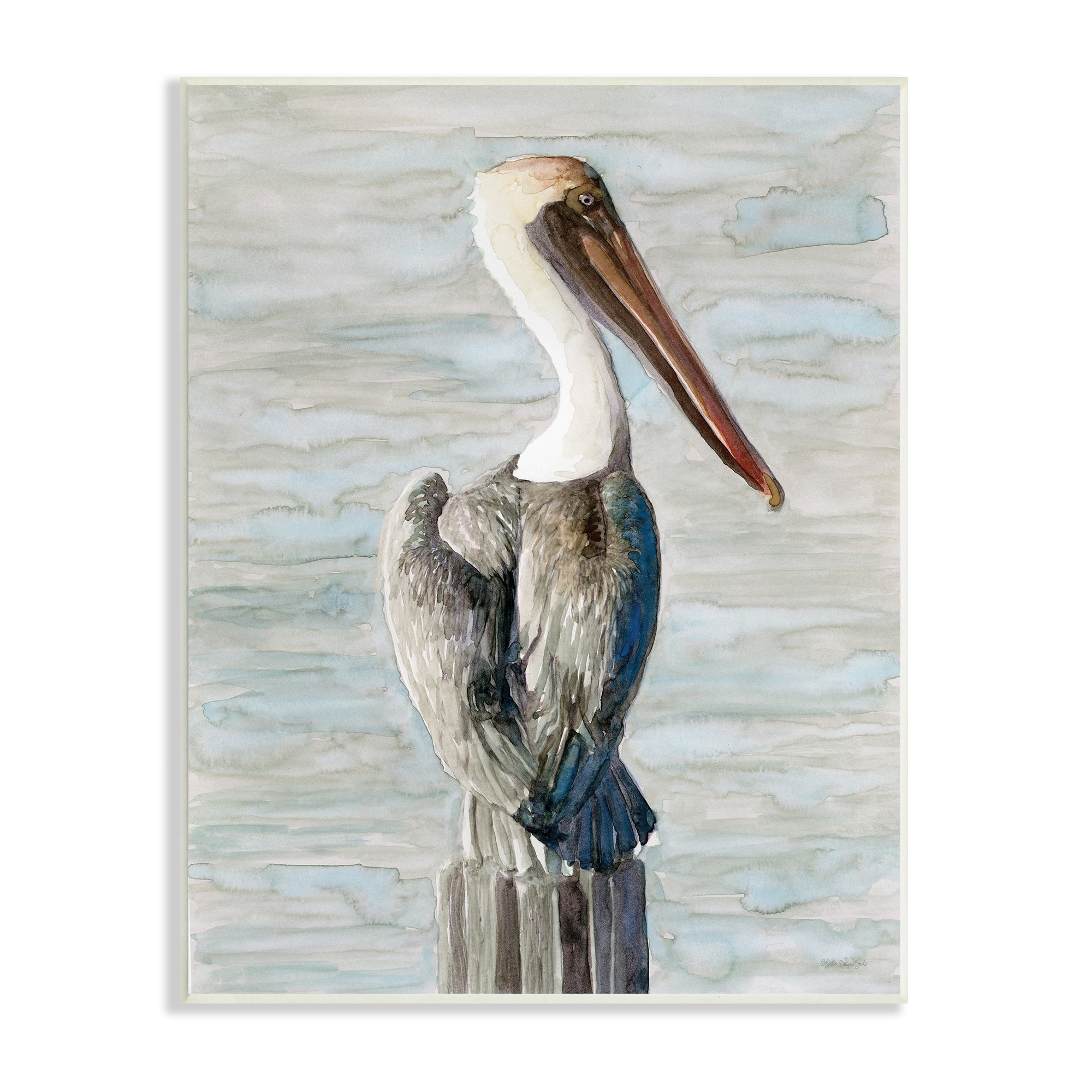 Stupell Industries Long Beak Pelican Watercolor Painting Coastal Waterfowl Bird Wood Wall Plaque