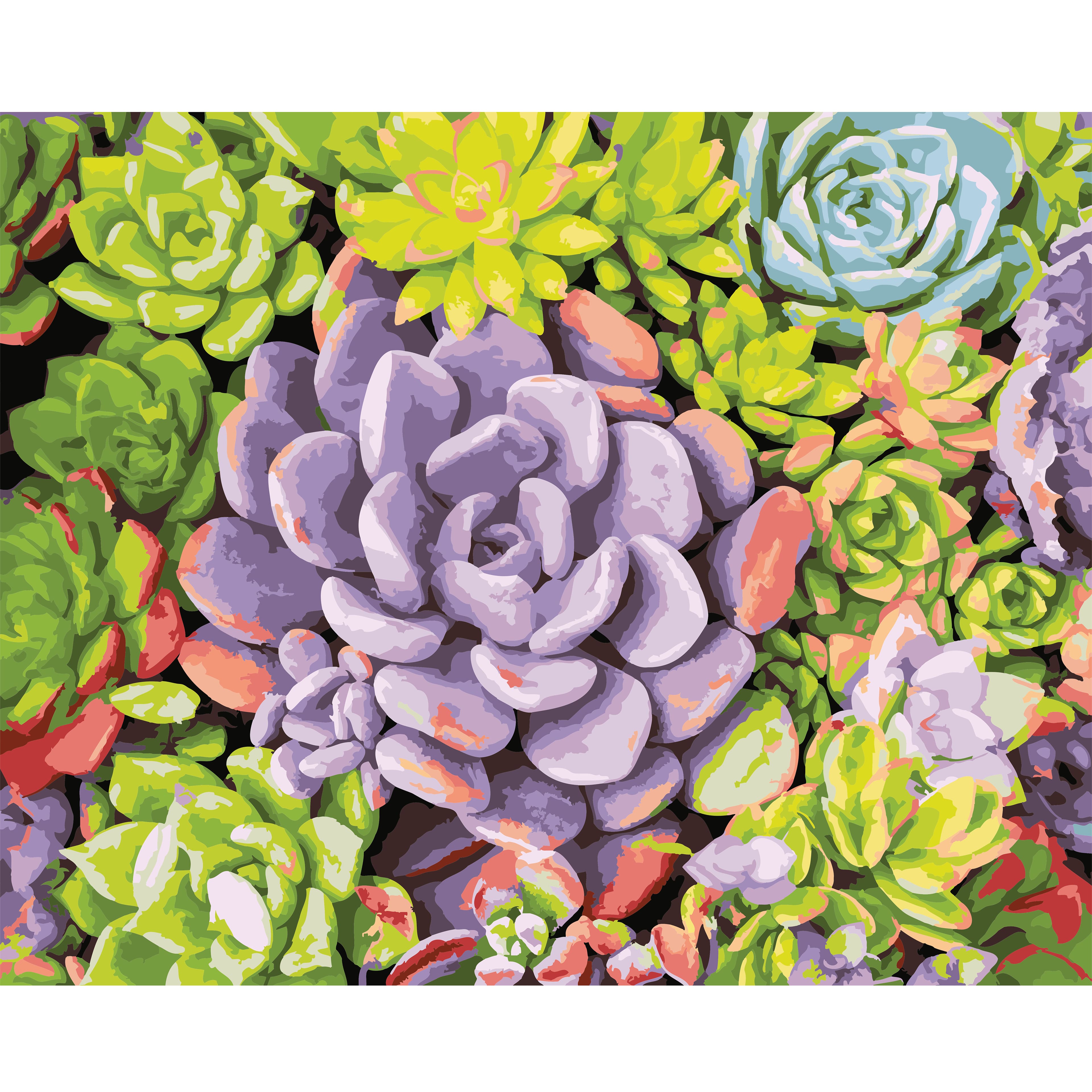 Succulents Paint-by-Number Kit by Artist's Loft®