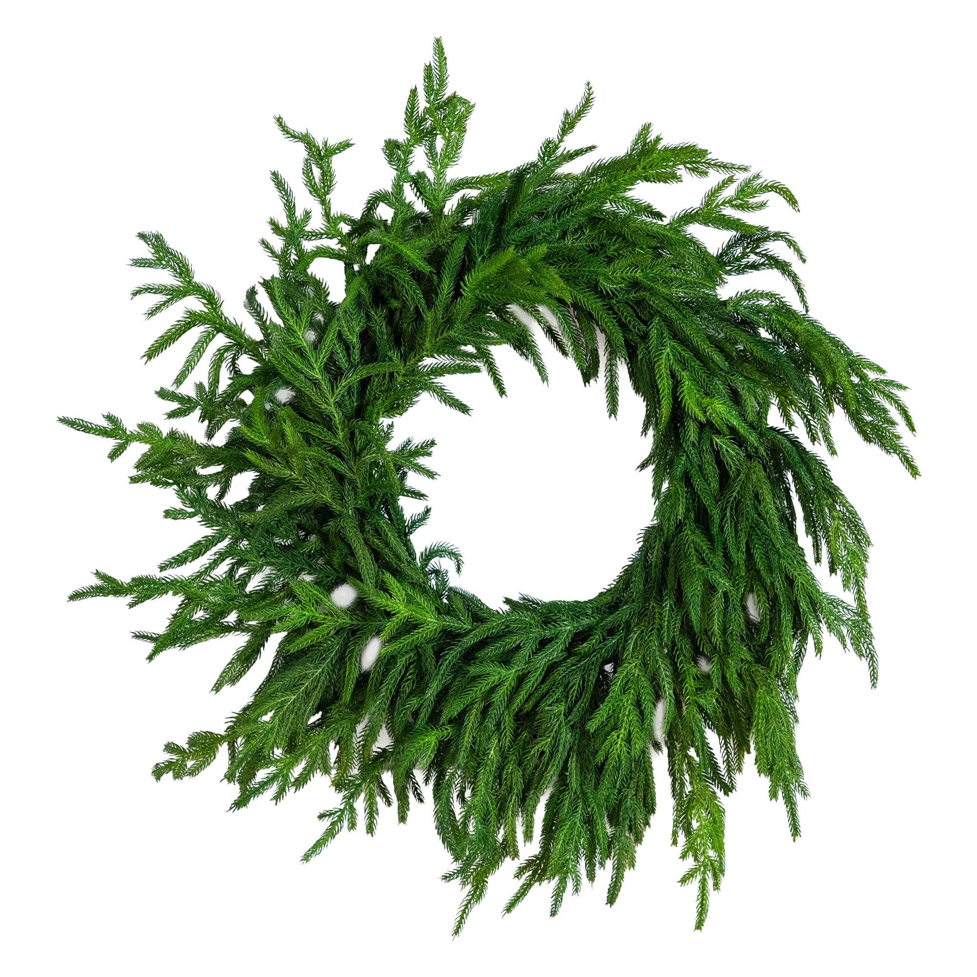 24in. Artificial Real Touch Norfolk Island Pine Wreath with Natural Look