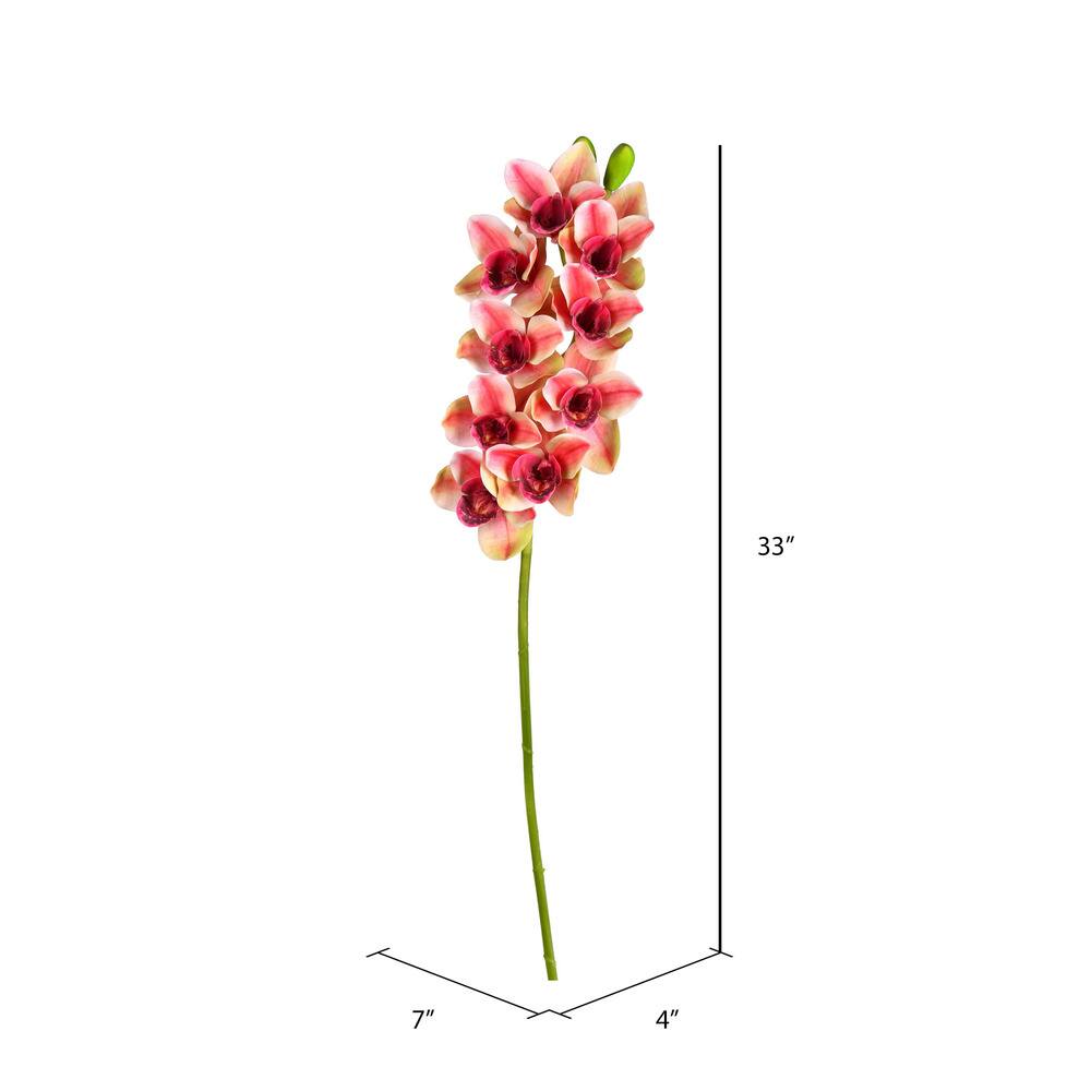 Purple Boat Orchid Stem