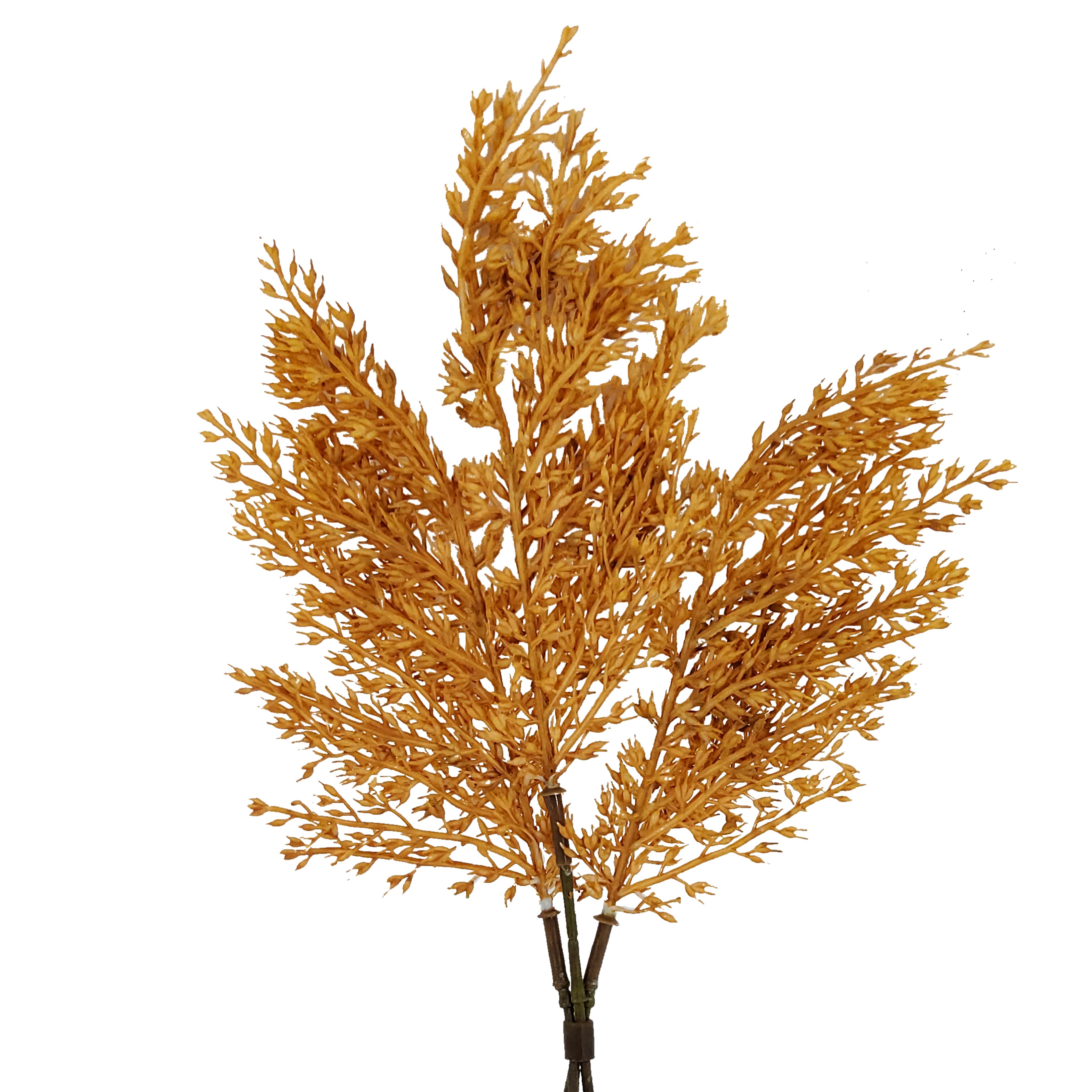 12" Orange Wheat Bundle by Ashland®