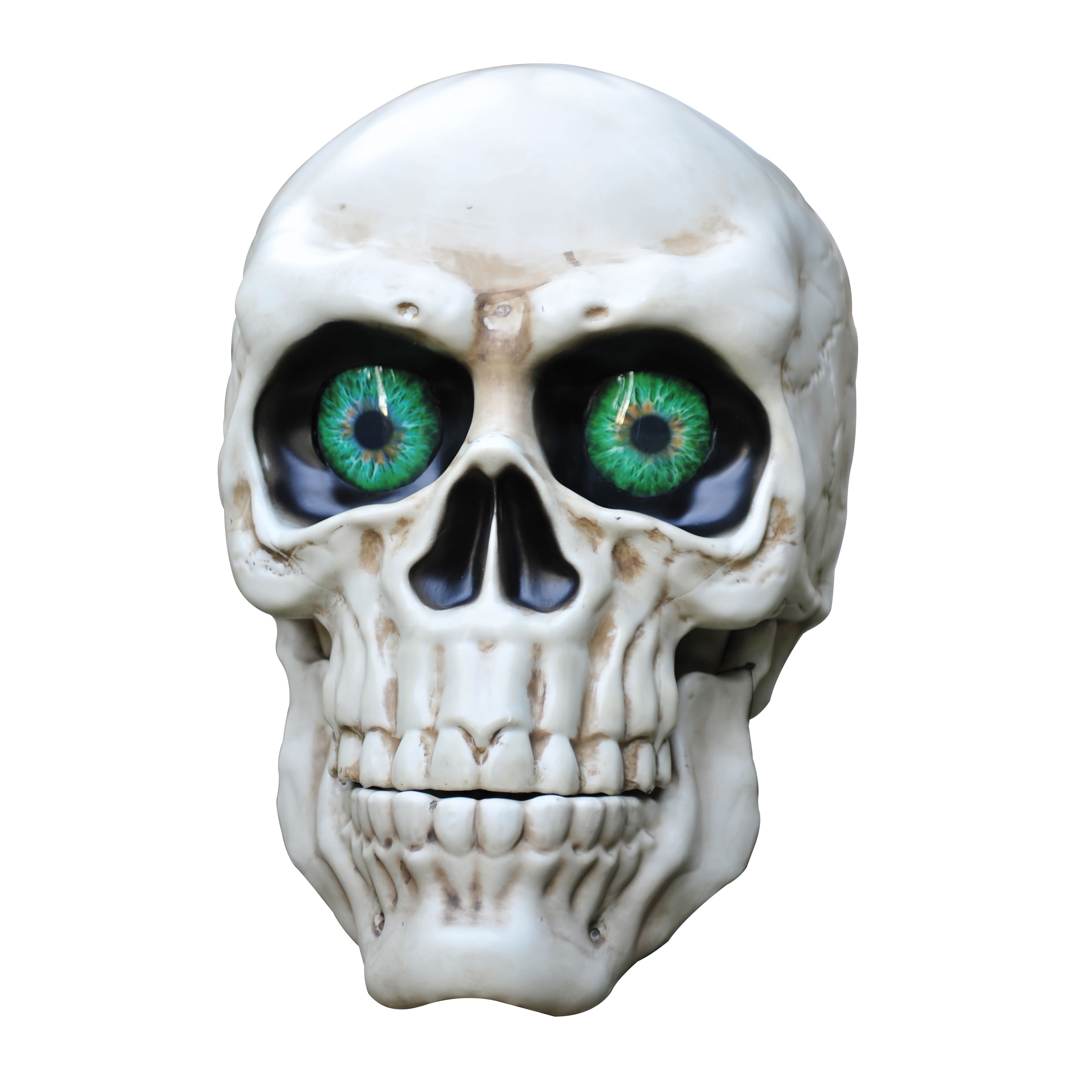 Giant Light Up Skull by Ashland®