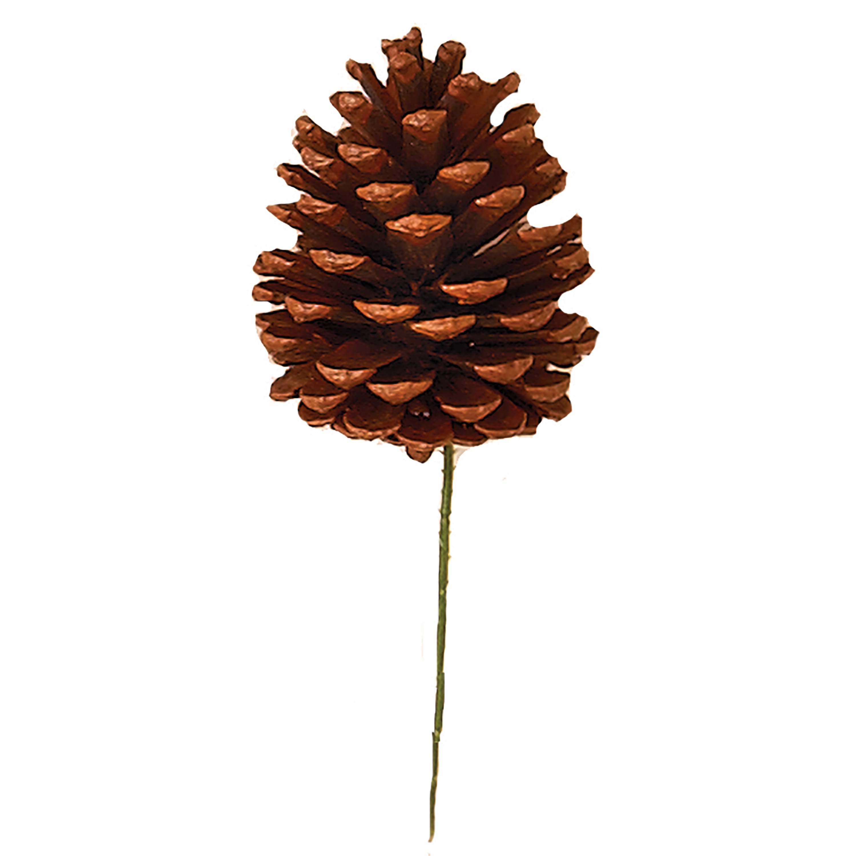 10" Large Natural Pinecone Picks, 72ct.
