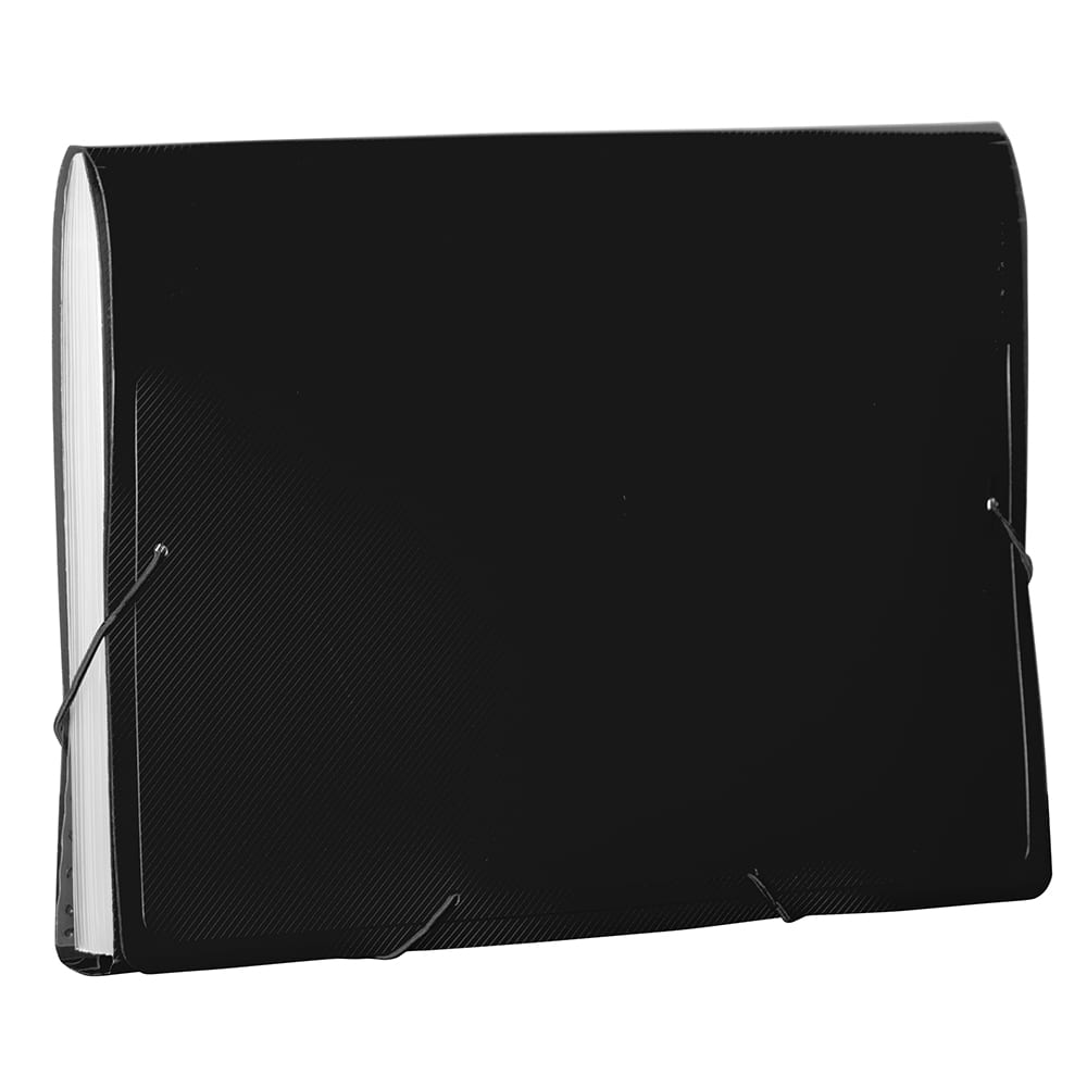 JAM Paper 9" x 13" Plastic Accordion Folder