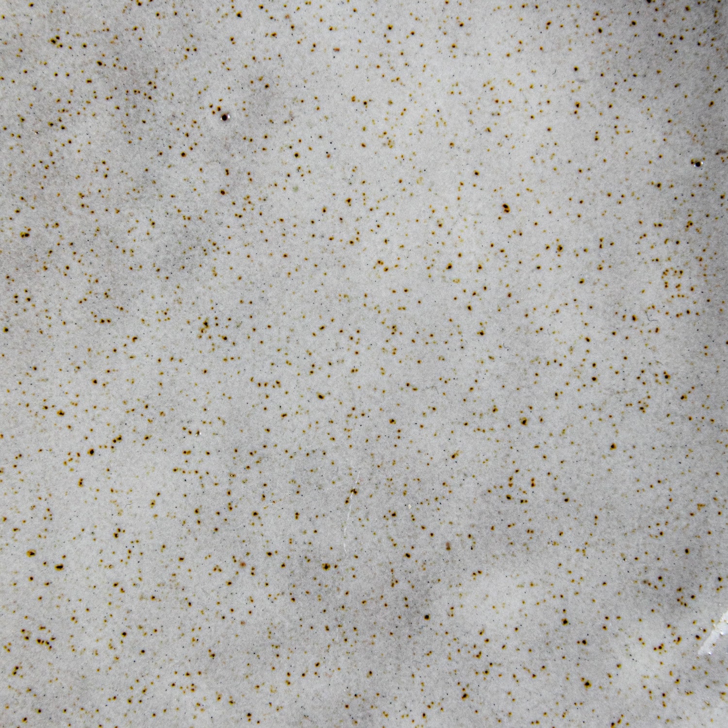 Hello Honey® 5" White Speckled Stoneware Organic Shaped Footed Dish
